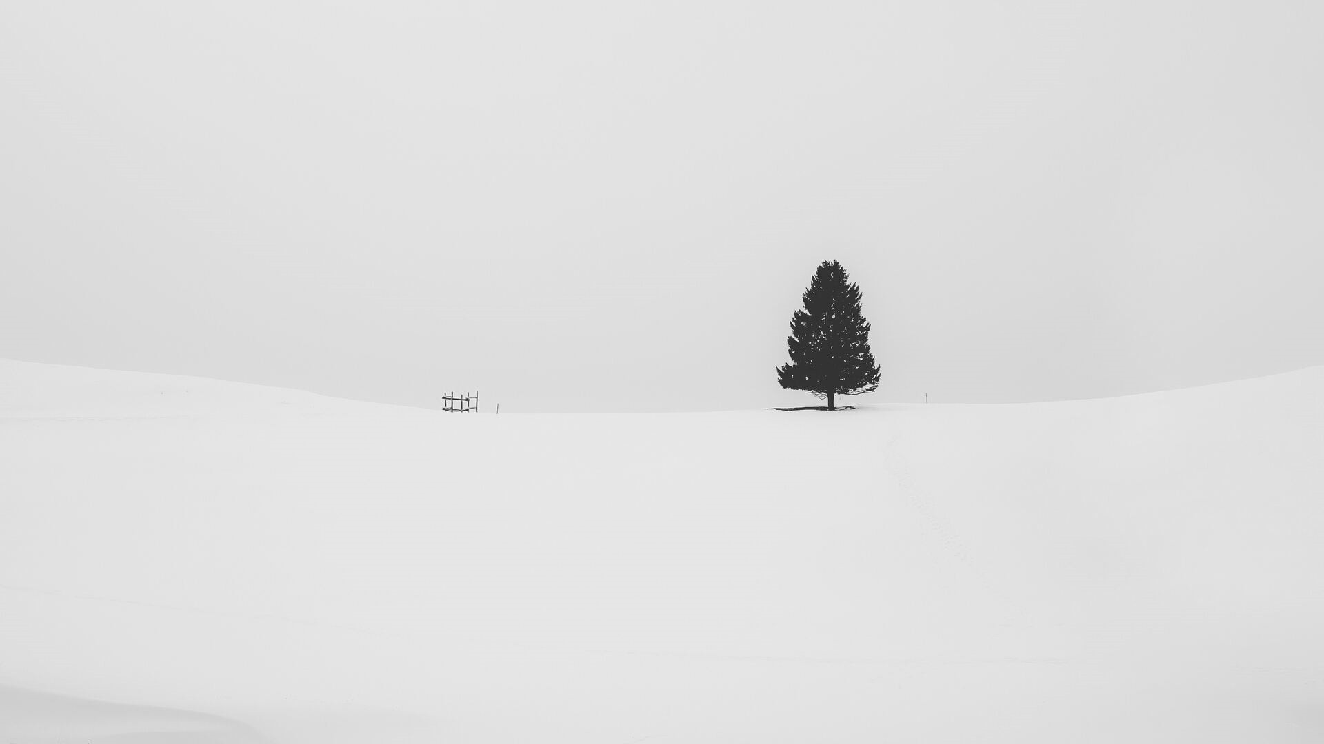 White Minimalist Wallpapers