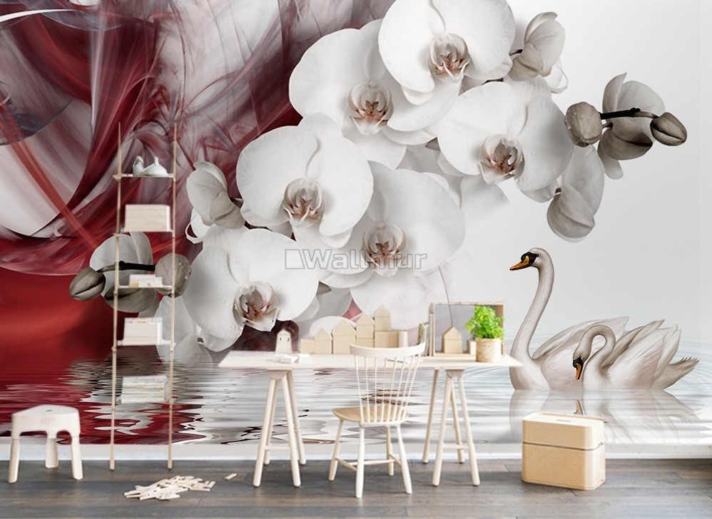 White Orchid Wallpapers