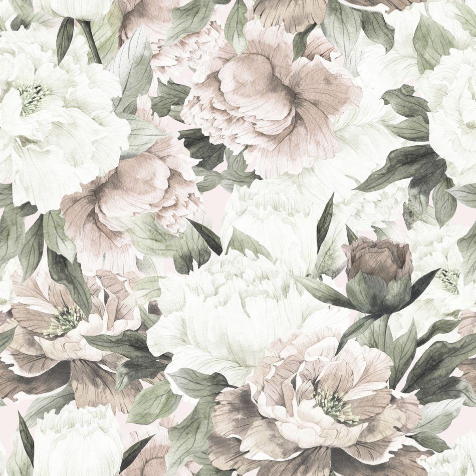 White Peonies Wallpapers