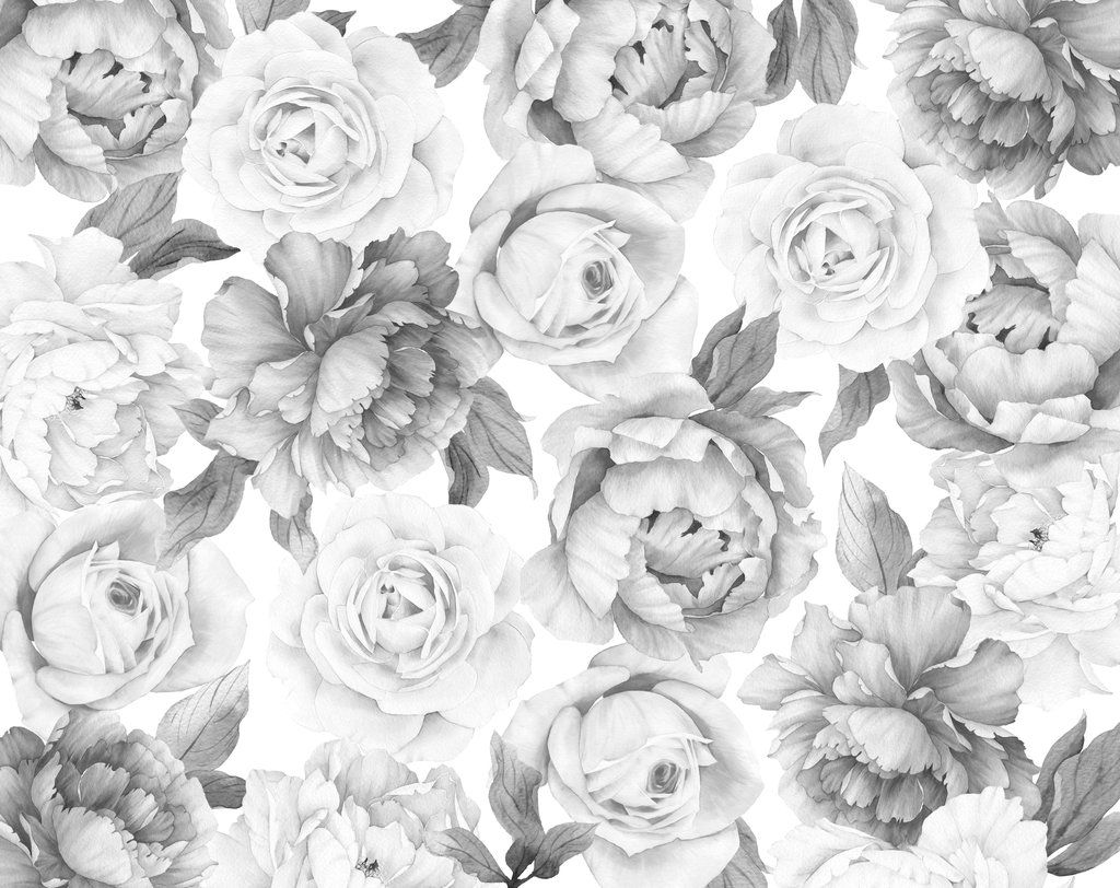 White Peonies Wallpapers