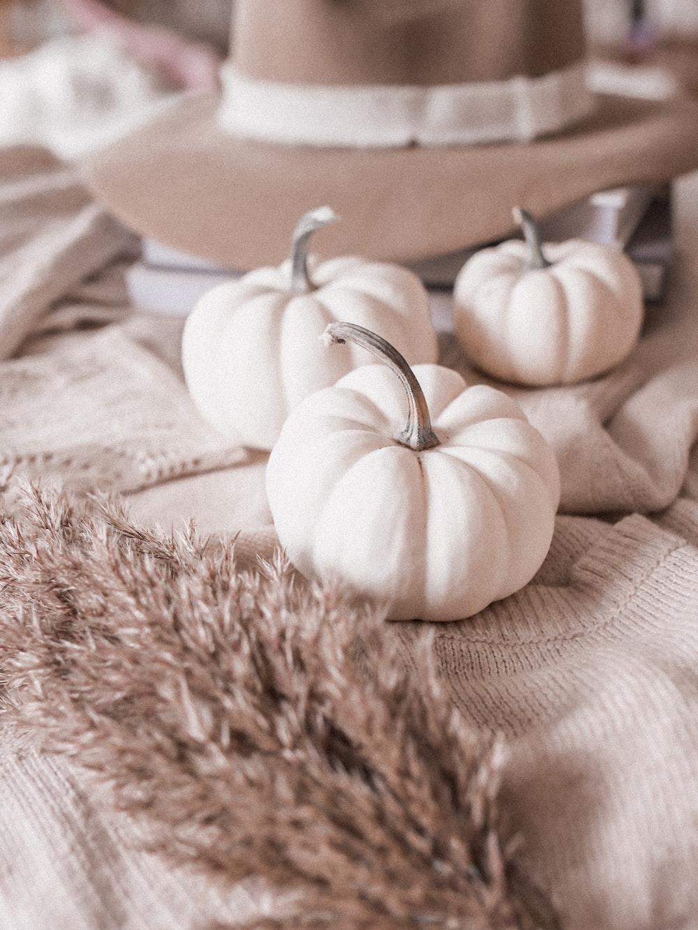 White Pumpkin Wallpapers