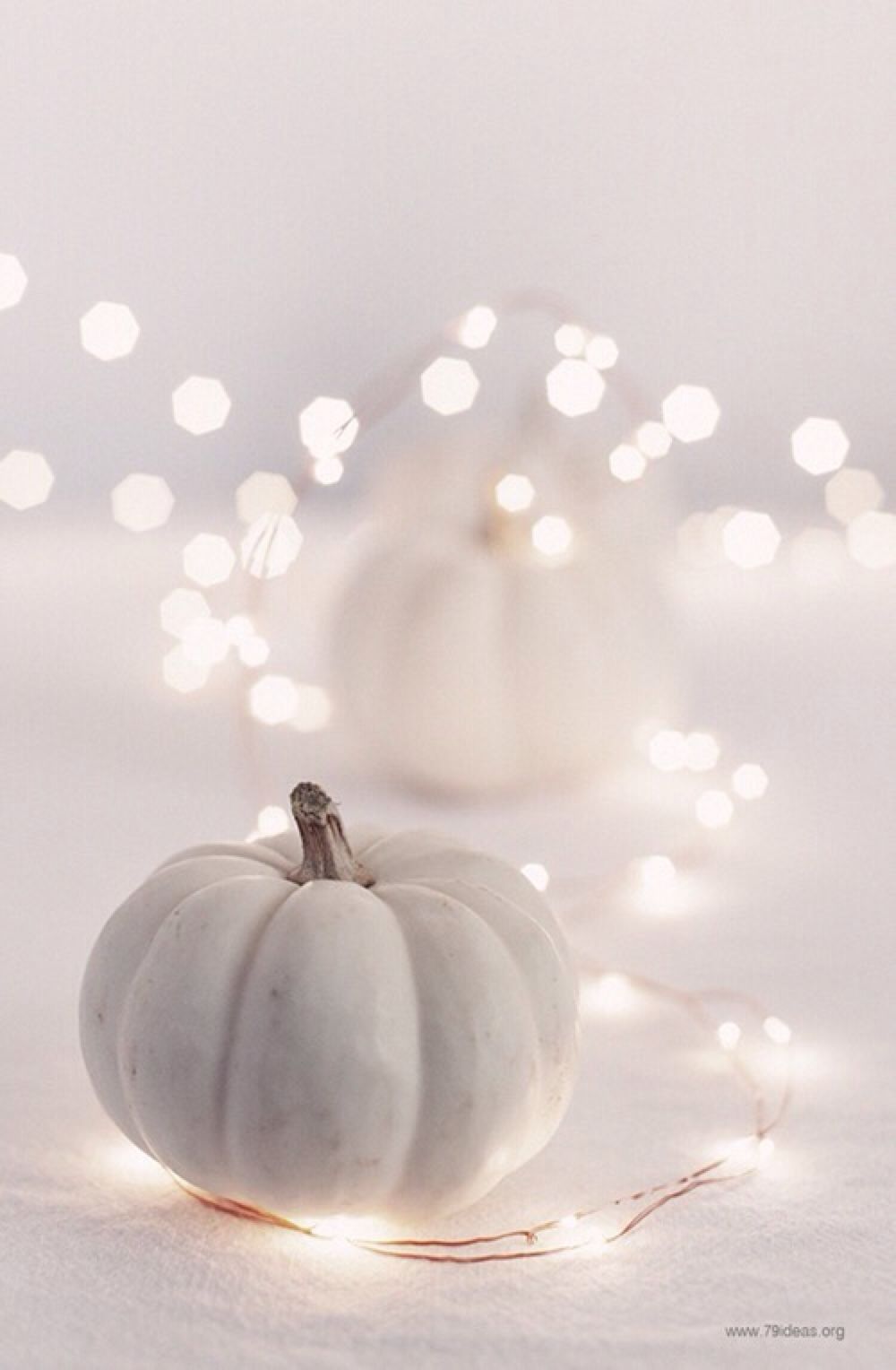 White Pumpkin Wallpapers