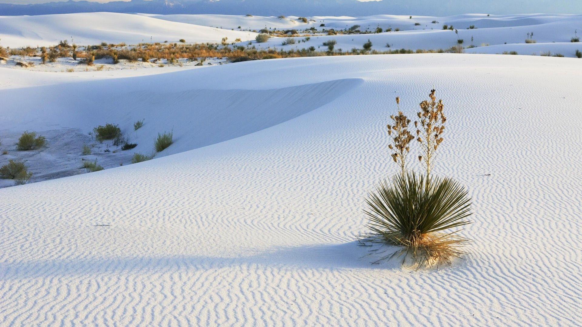 White Sand Wallpapers