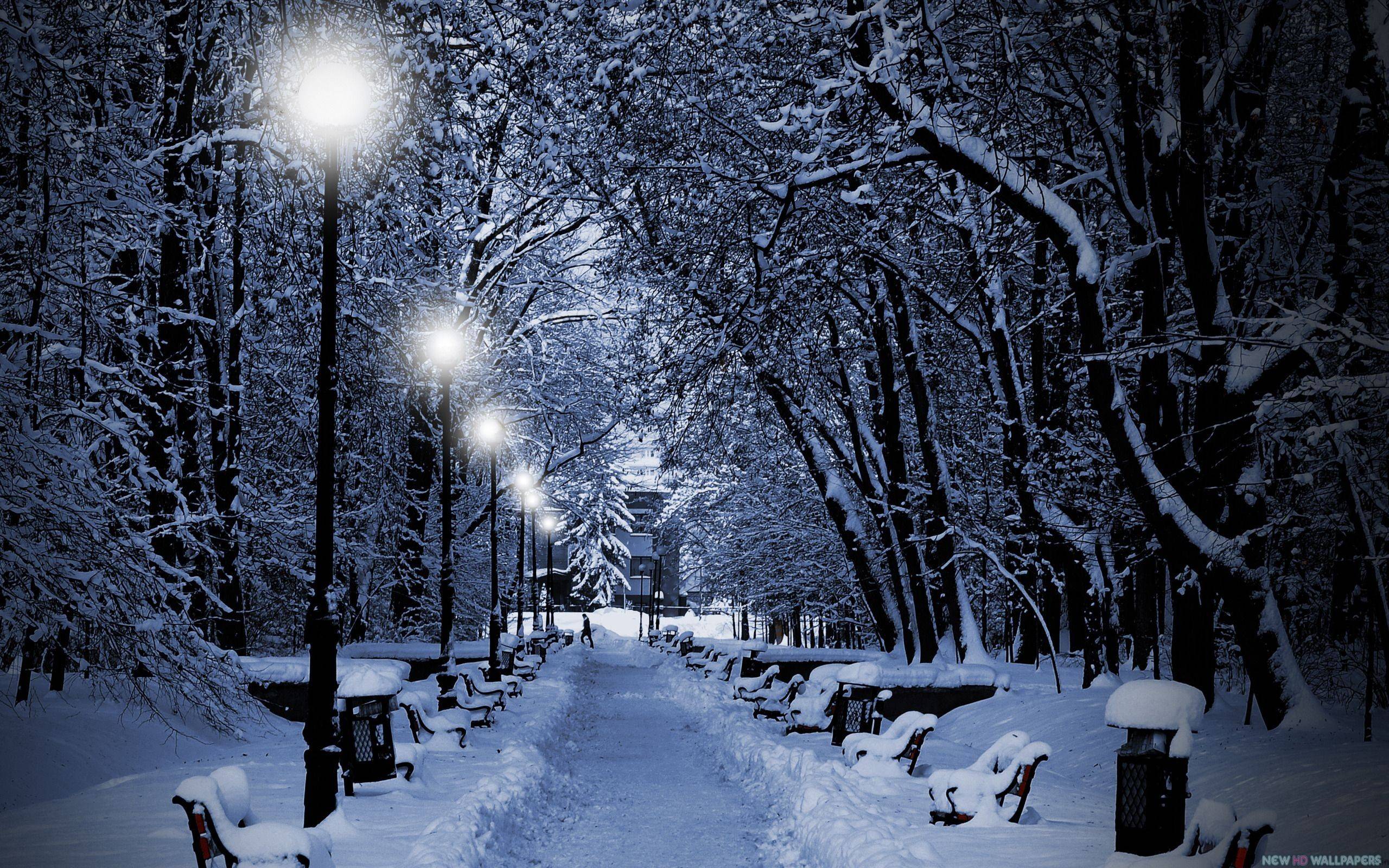 Widescreen Winter Night Wallpapers