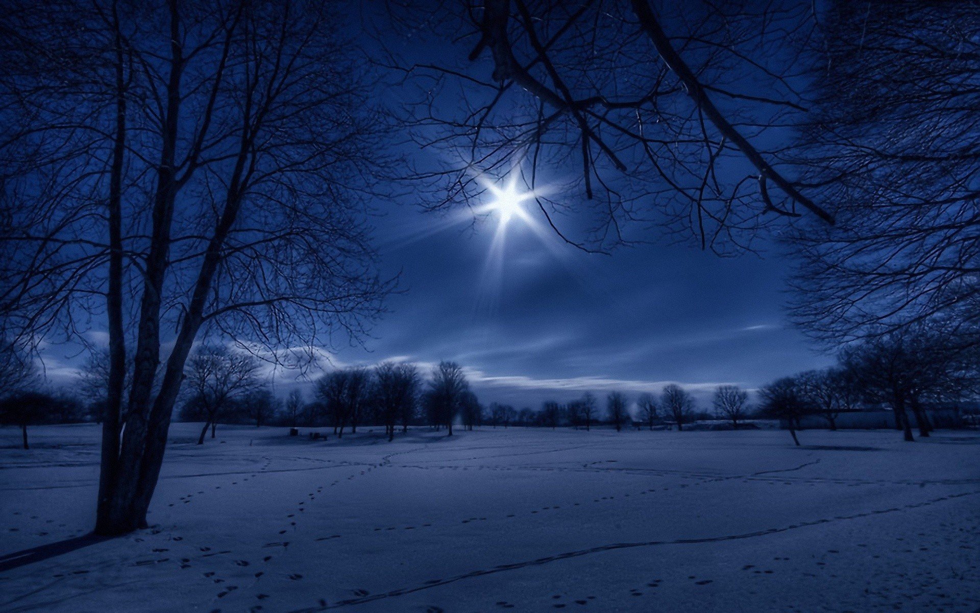 Widescreen Winter Night Wallpapers