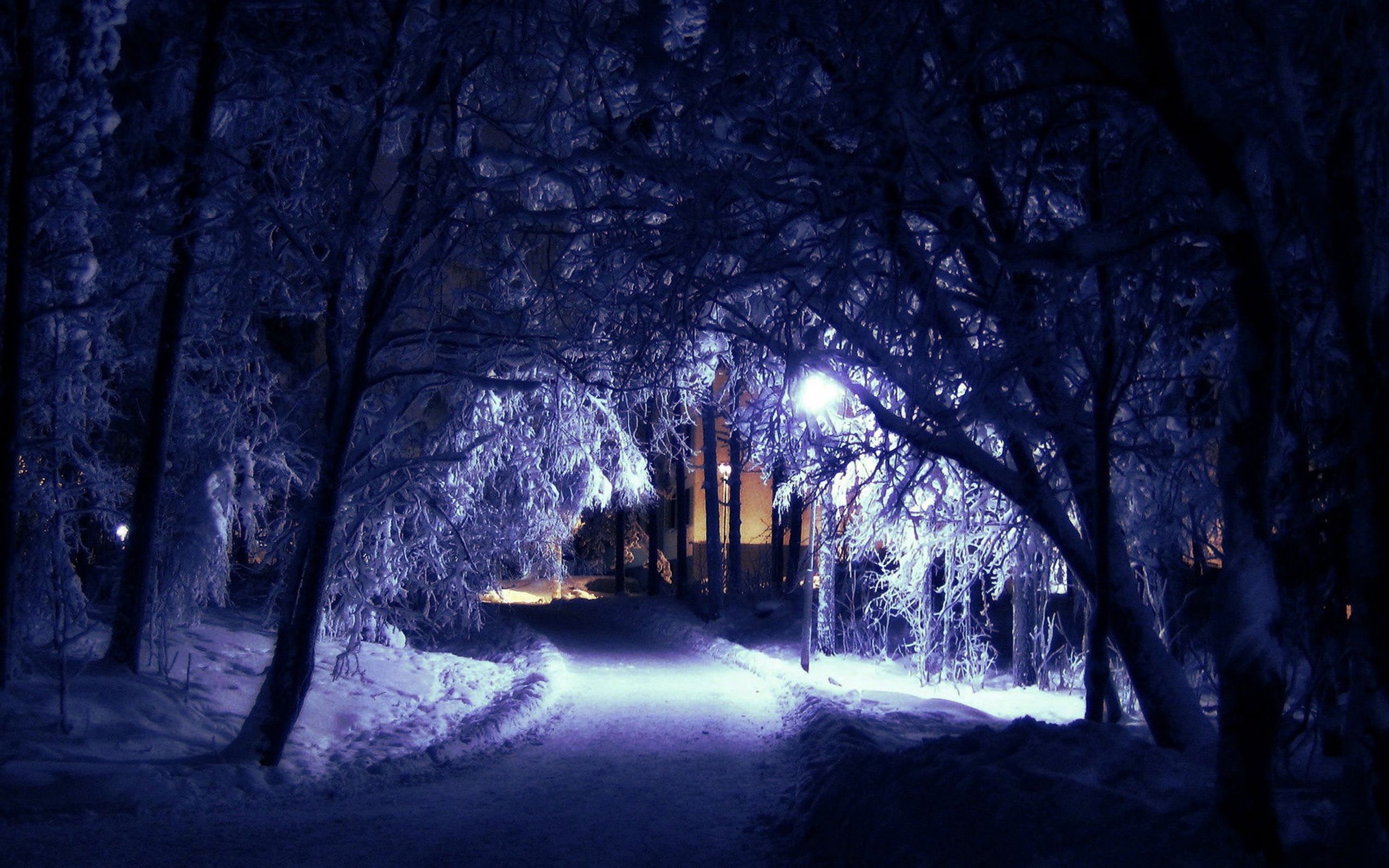 Widescreen Winter Night Wallpapers