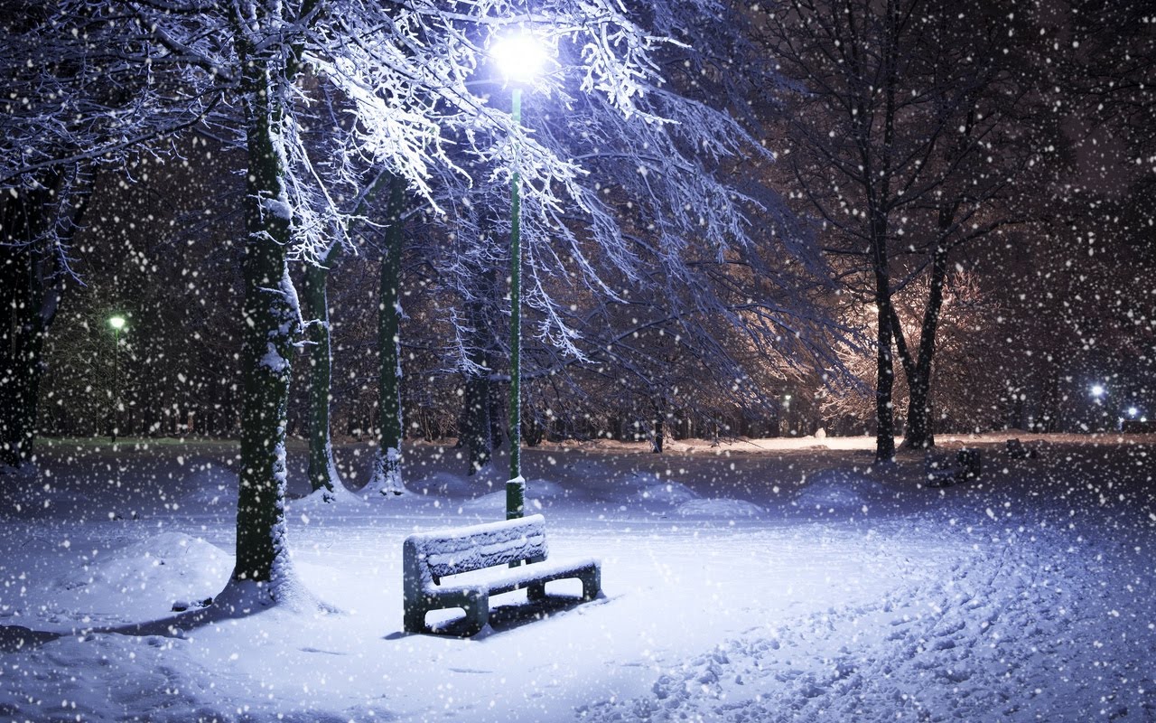 Widescreen Winter Night Wallpapers