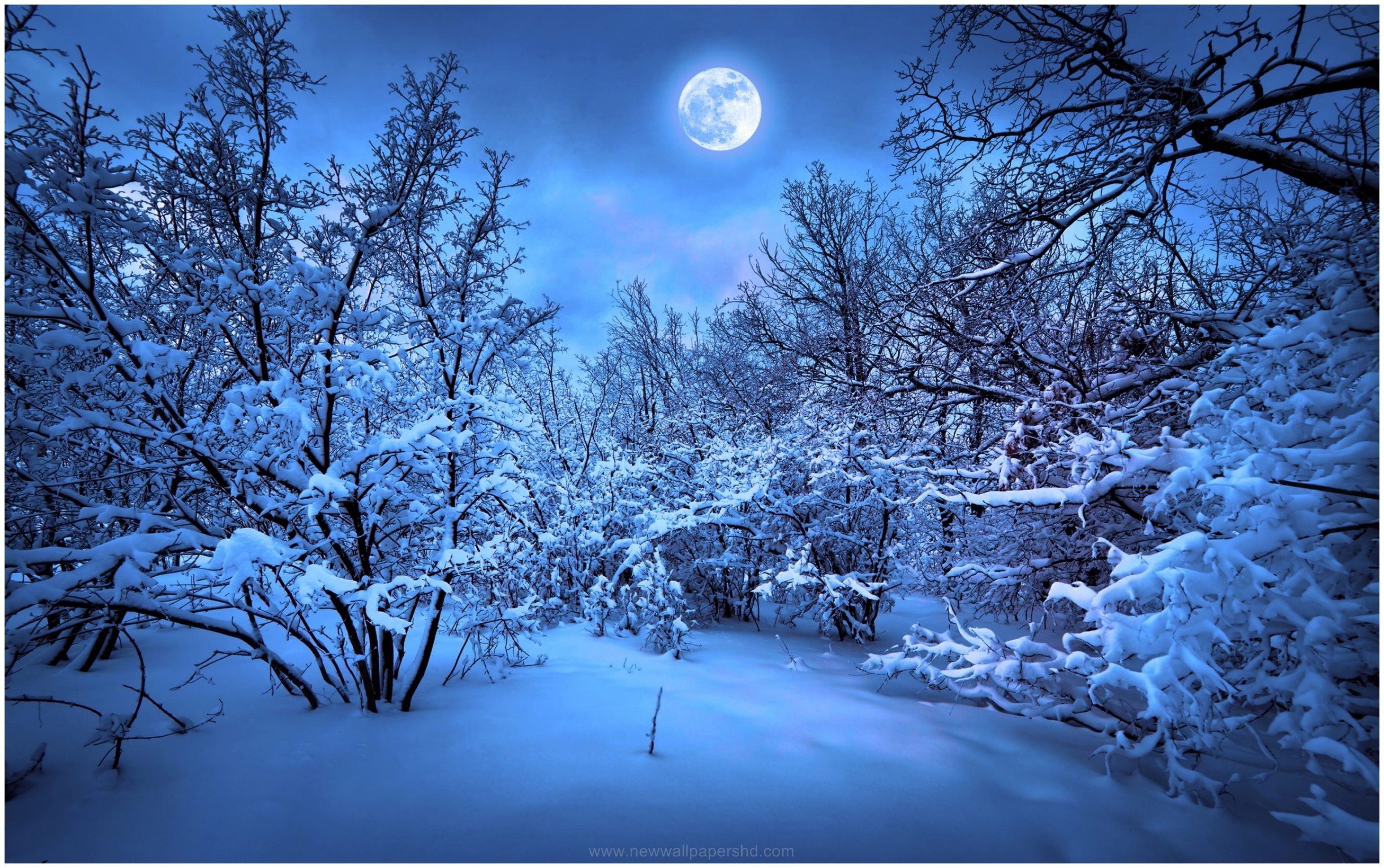 Widescreen Winter Night Wallpapers