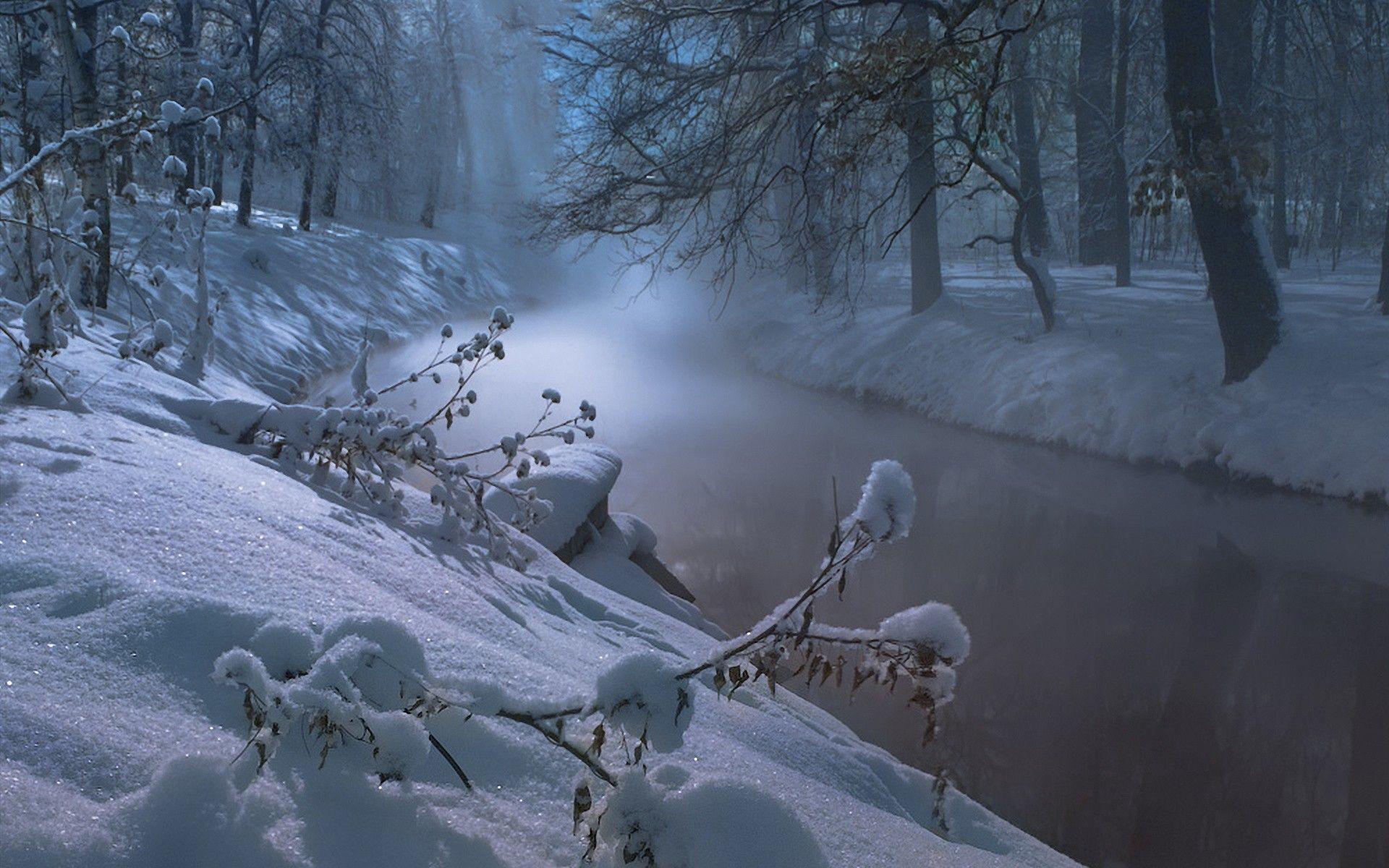 Widescreen Winter Night Wallpapers