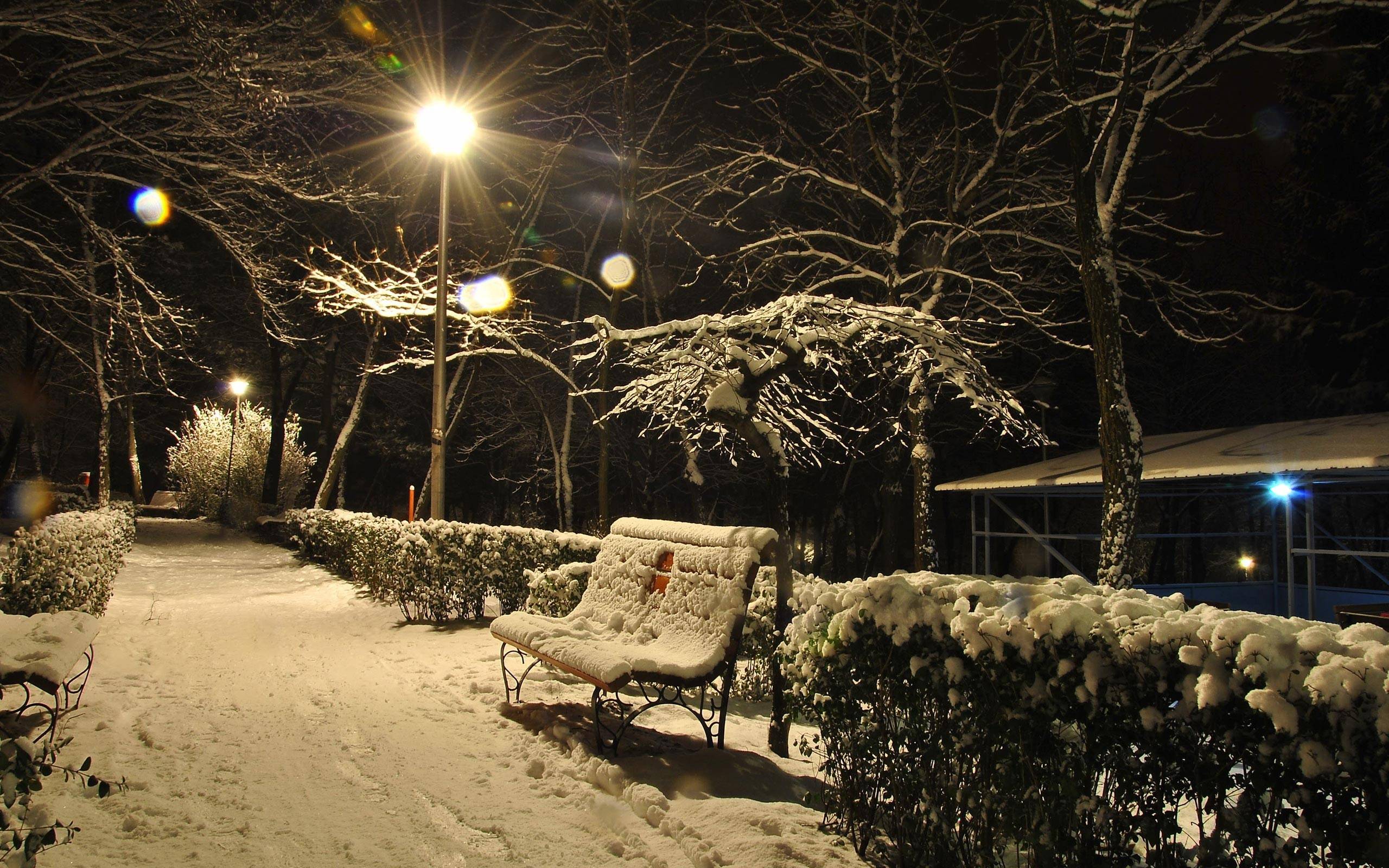 Widescreen Winter Night Wallpapers