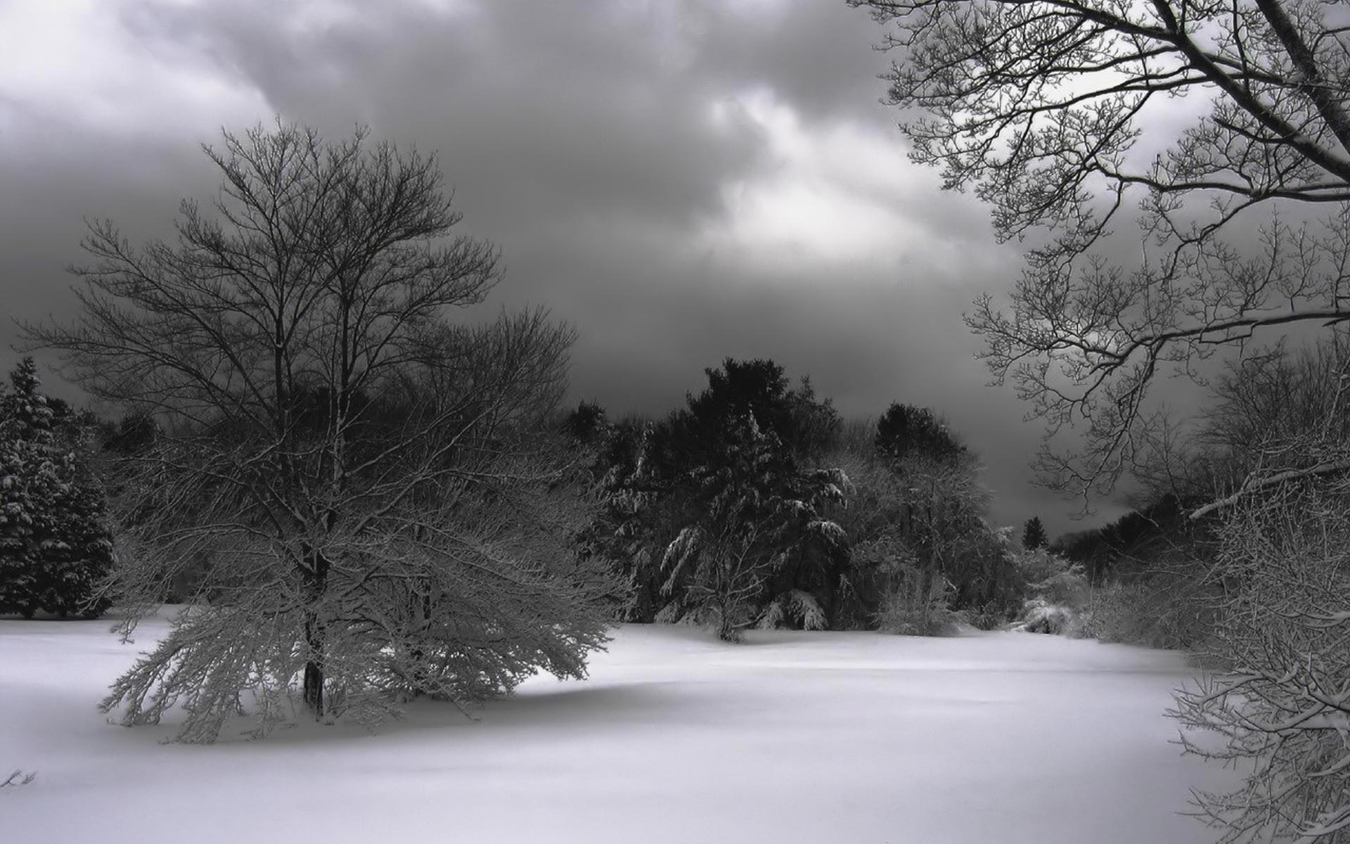 Widescreen Winter Night Wallpapers