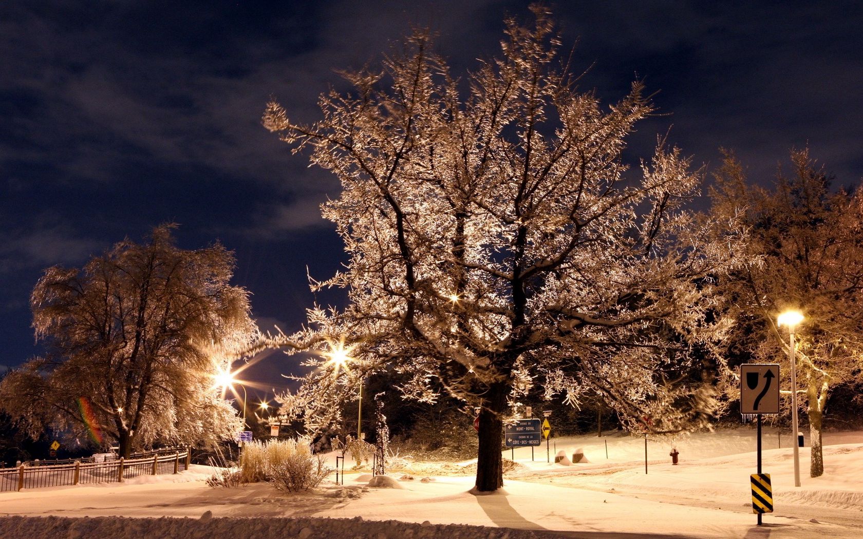 Widescreen Winter Night Wallpapers