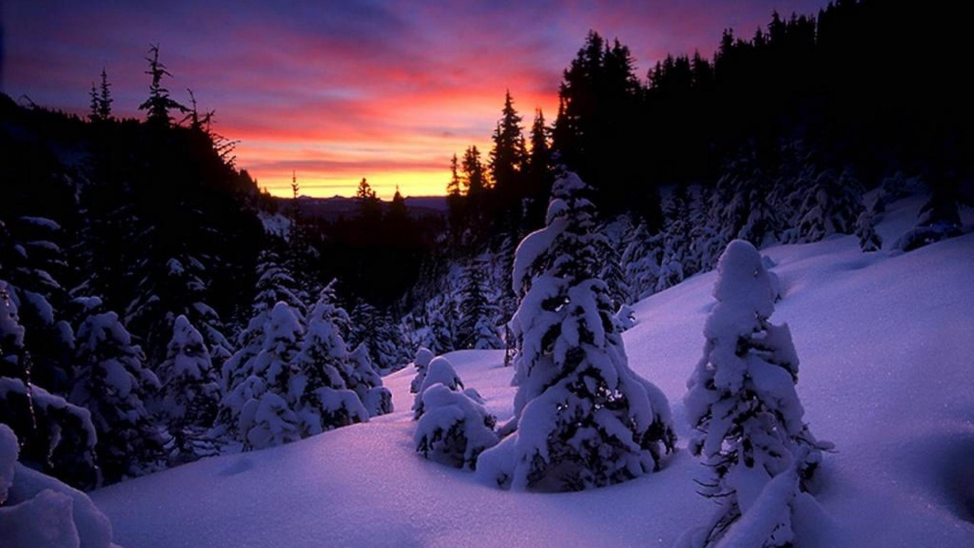 Widescreen Winter Night Wallpapers