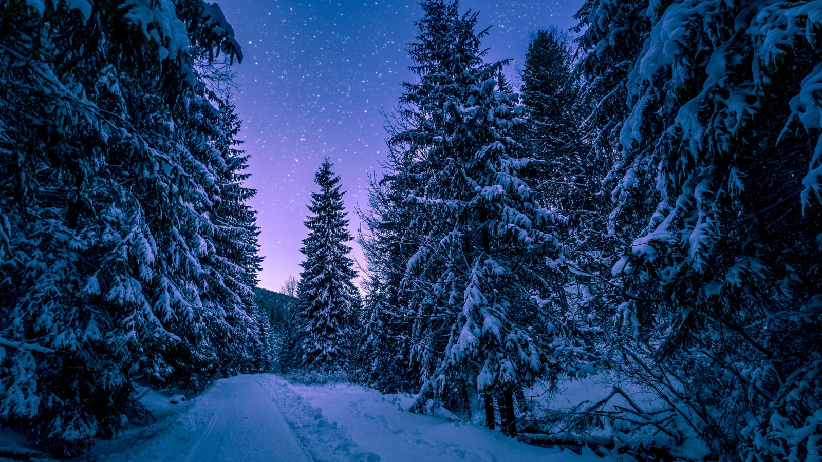 Widescreen Winter Night Wallpapers