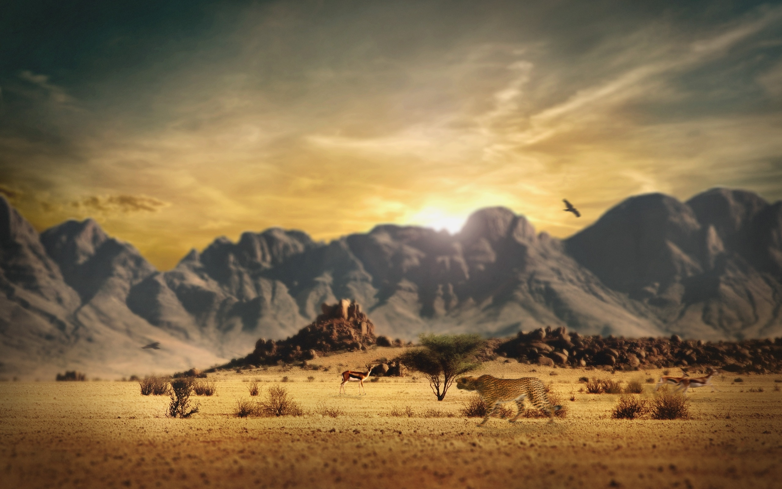 Wild West Scenery Wallpapers