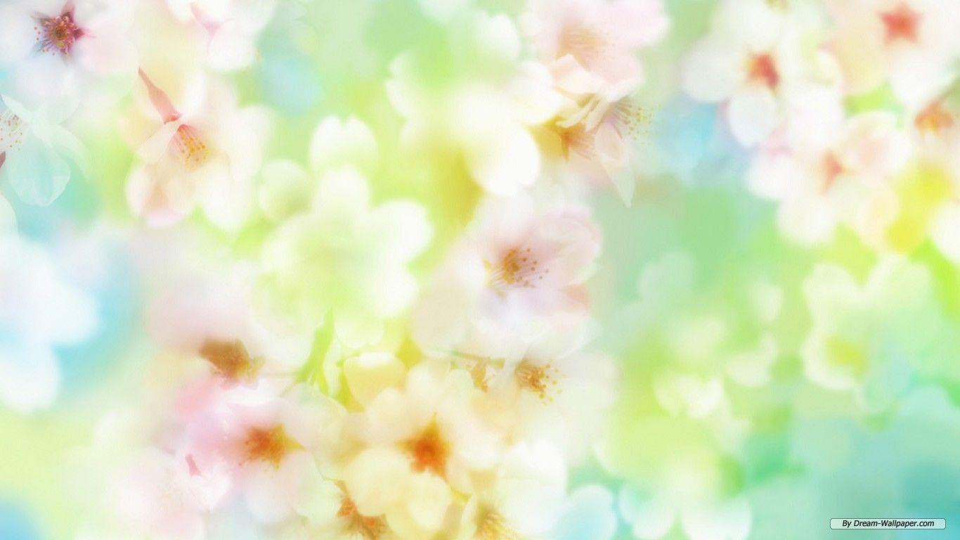 Wildflower Images Free Wallpapers