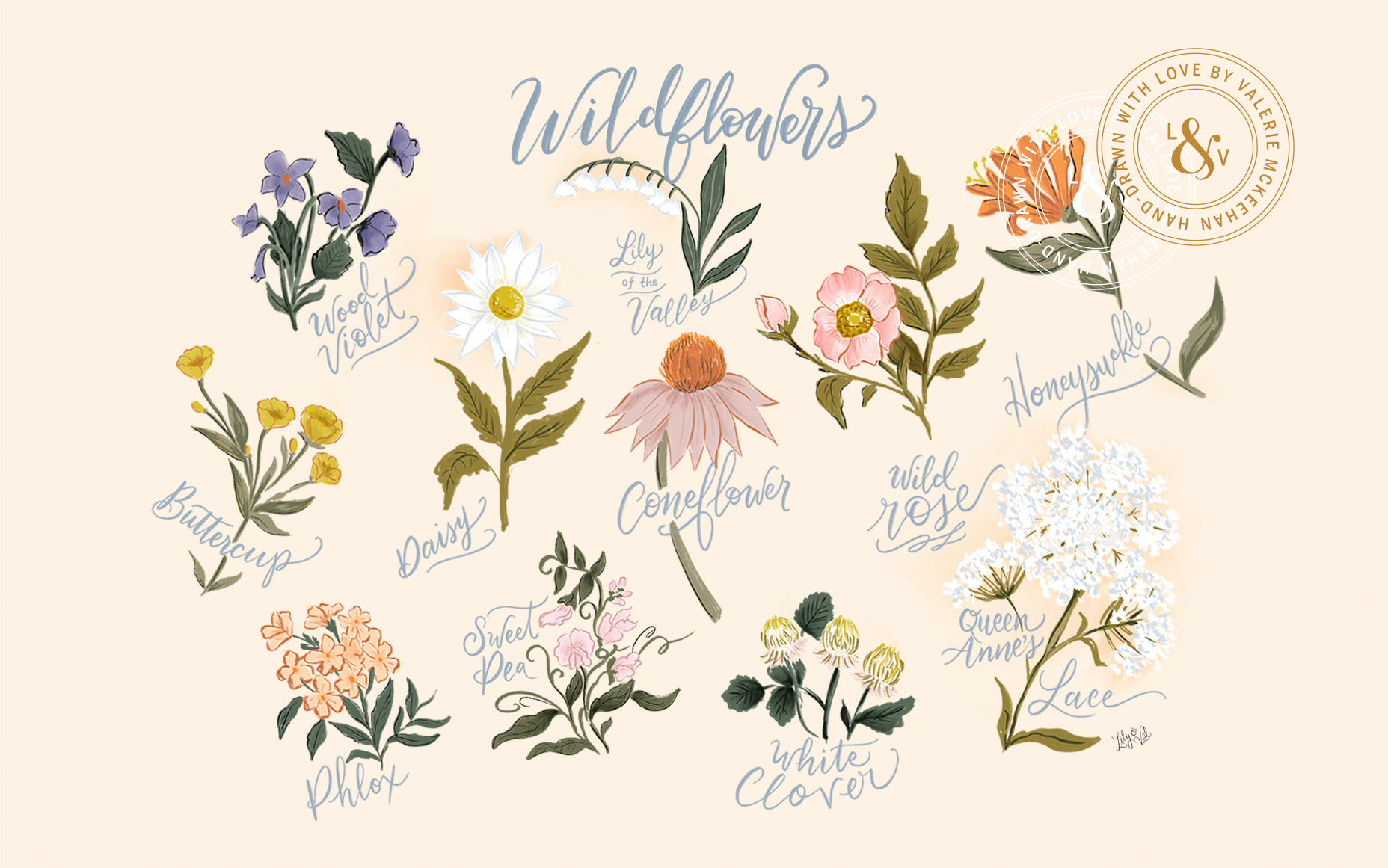 Wildflowers Desktop Wallpapers