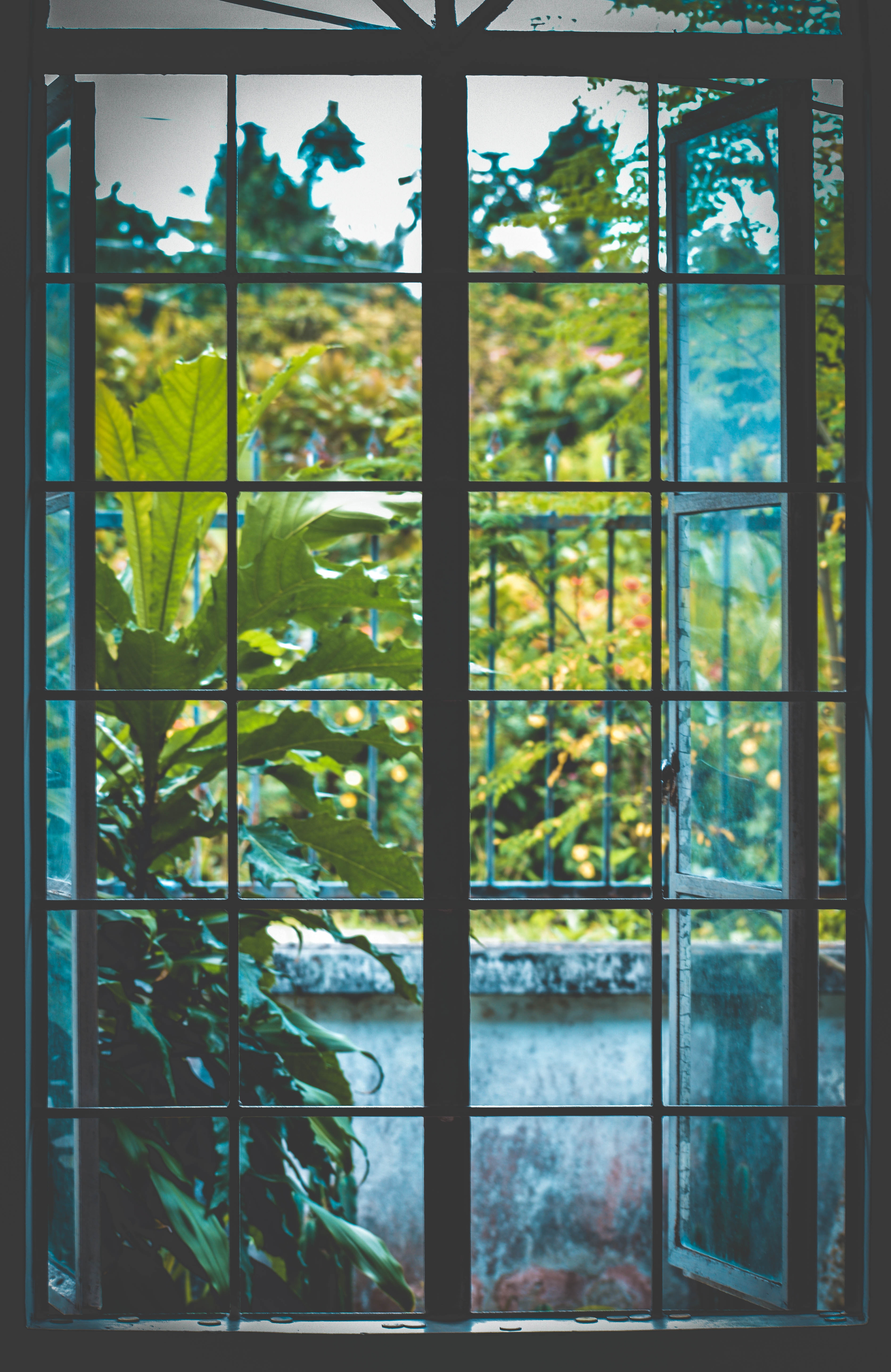 Window View Wallpapers