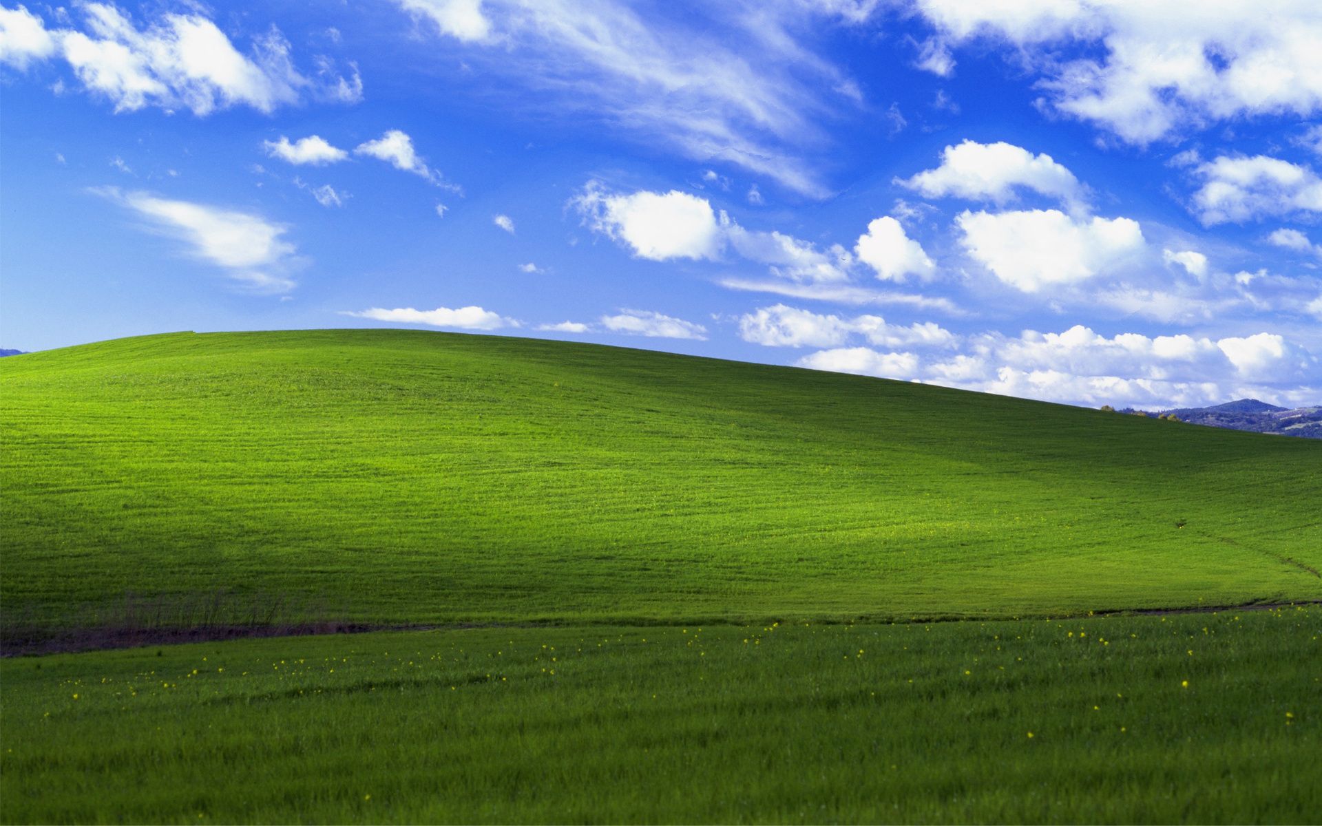 Windows Default Wallpapers