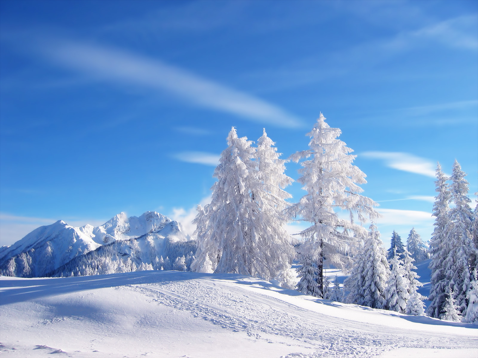 Windows Winter Wallpapers