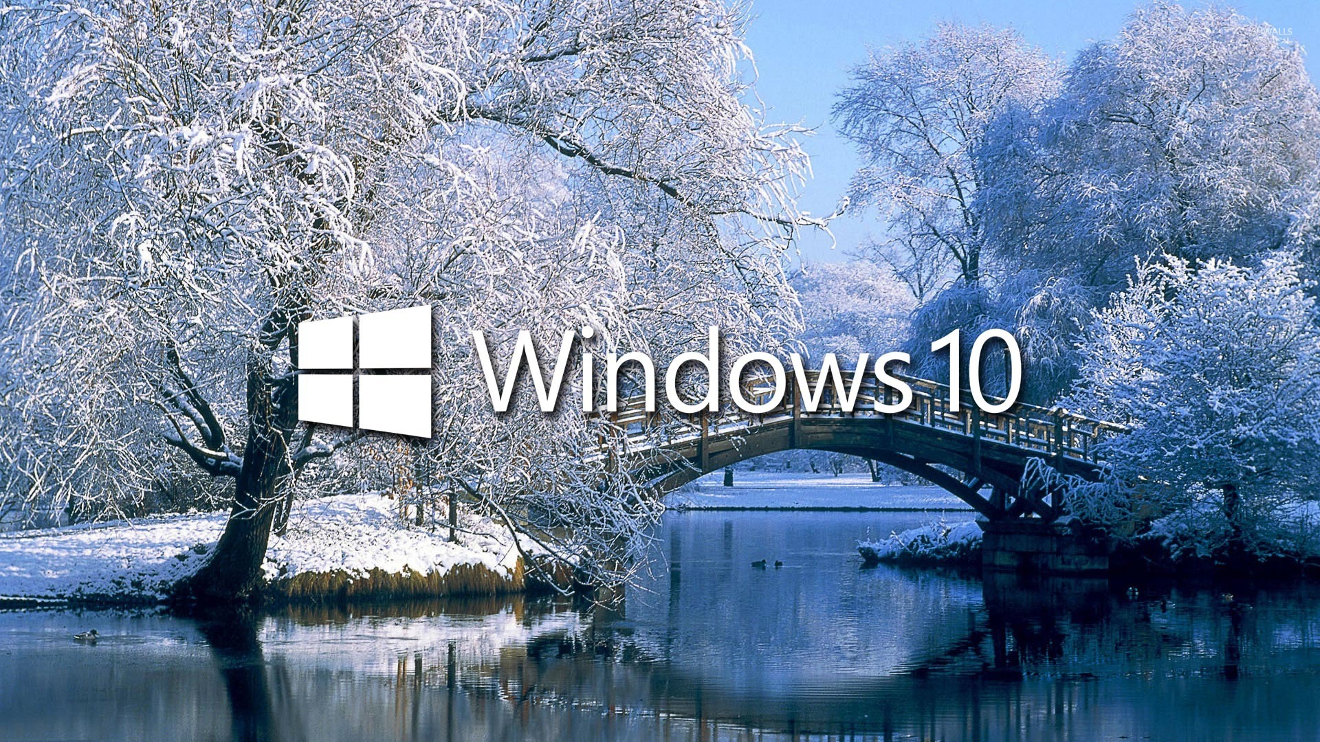 Windows Winter Wallpapers