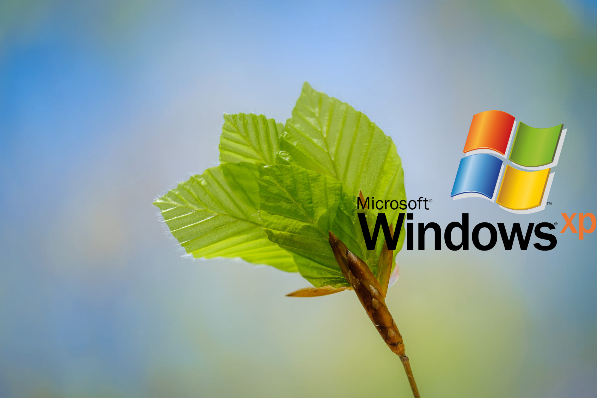 Windows Xp Logo Wallpapers