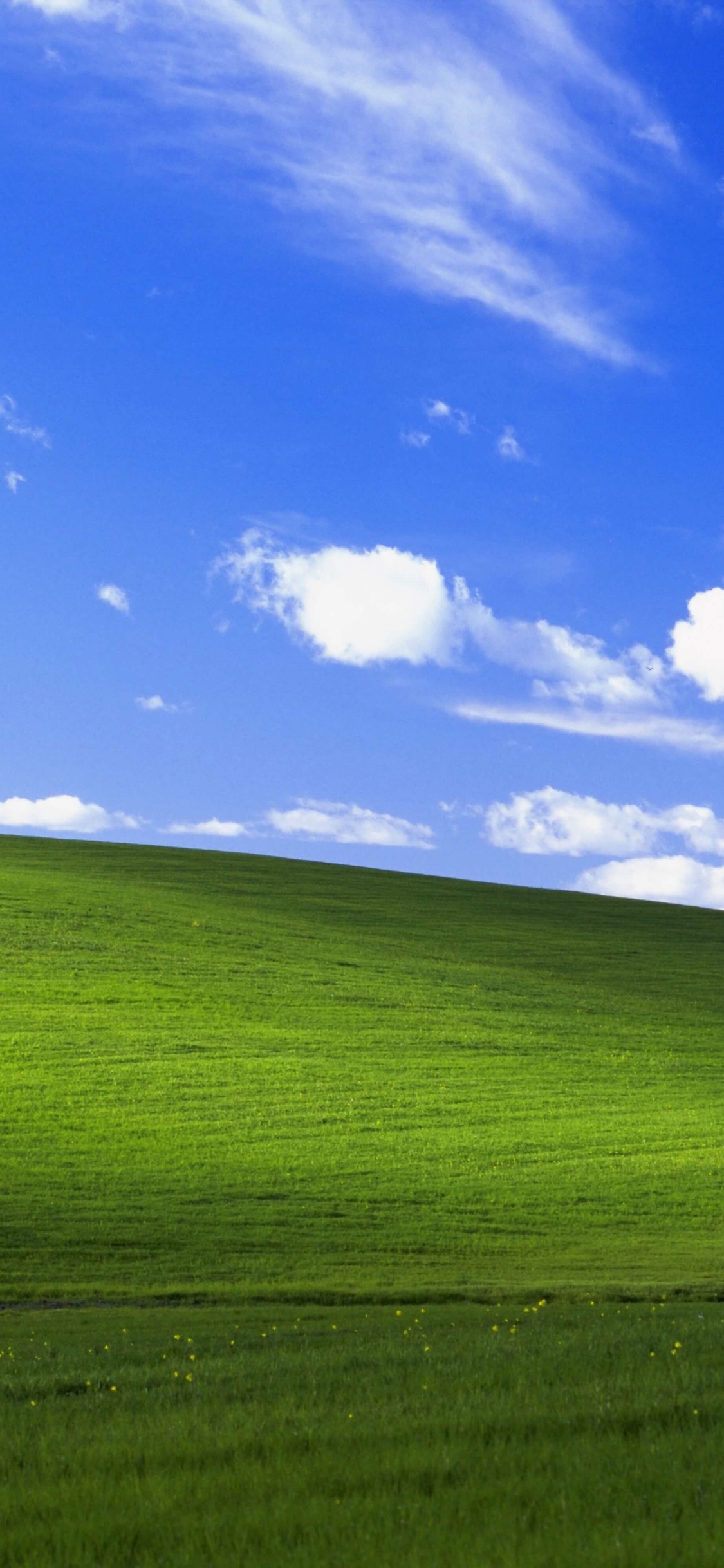 Windows Xp Professional Wallpapers