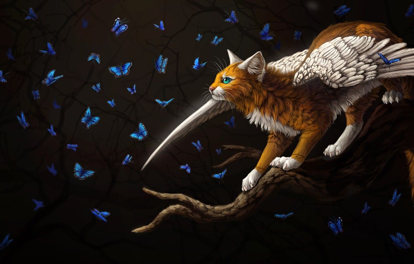 Winged Cats Art Wallpapers