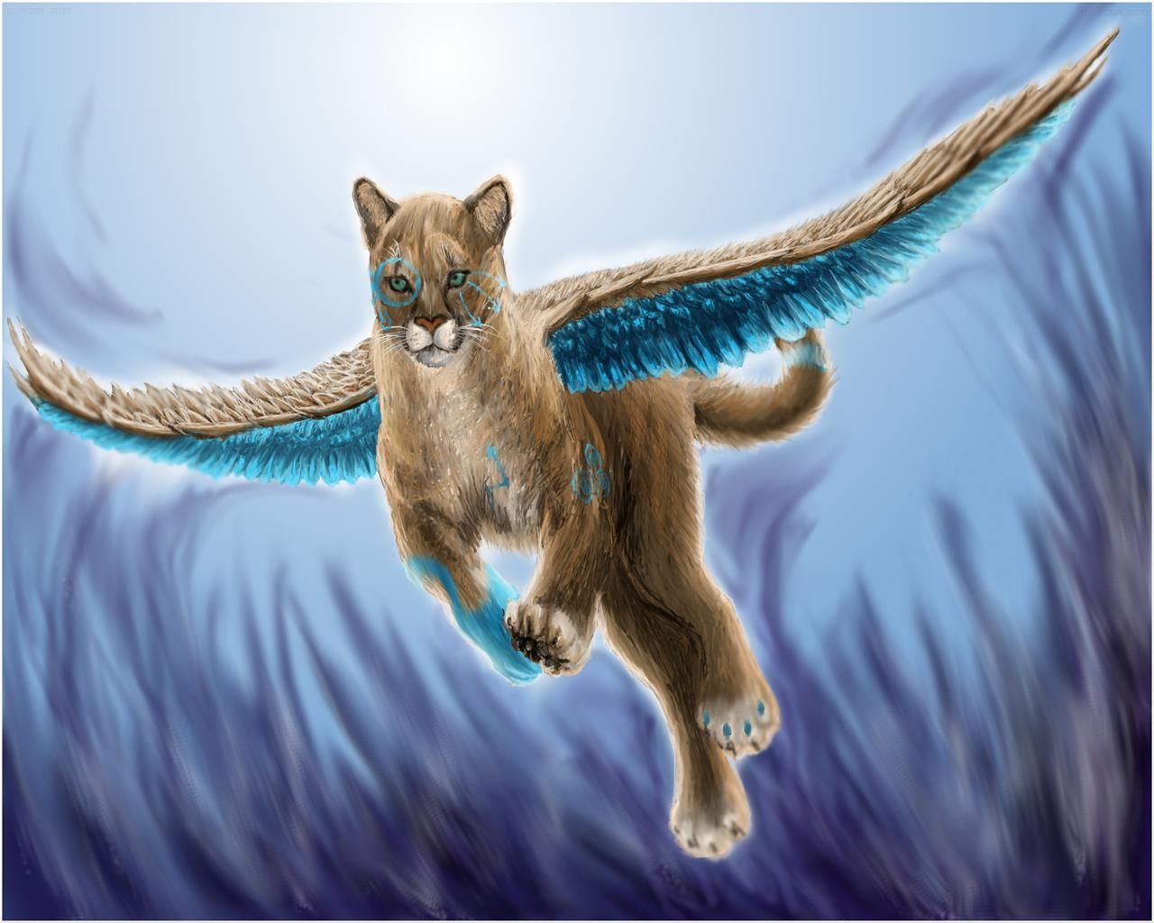 Winged Cats Art Wallpapers