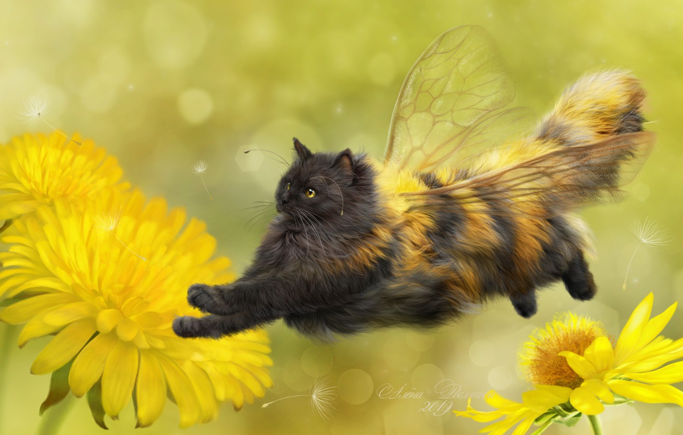 Winged Cats Art Wallpapers