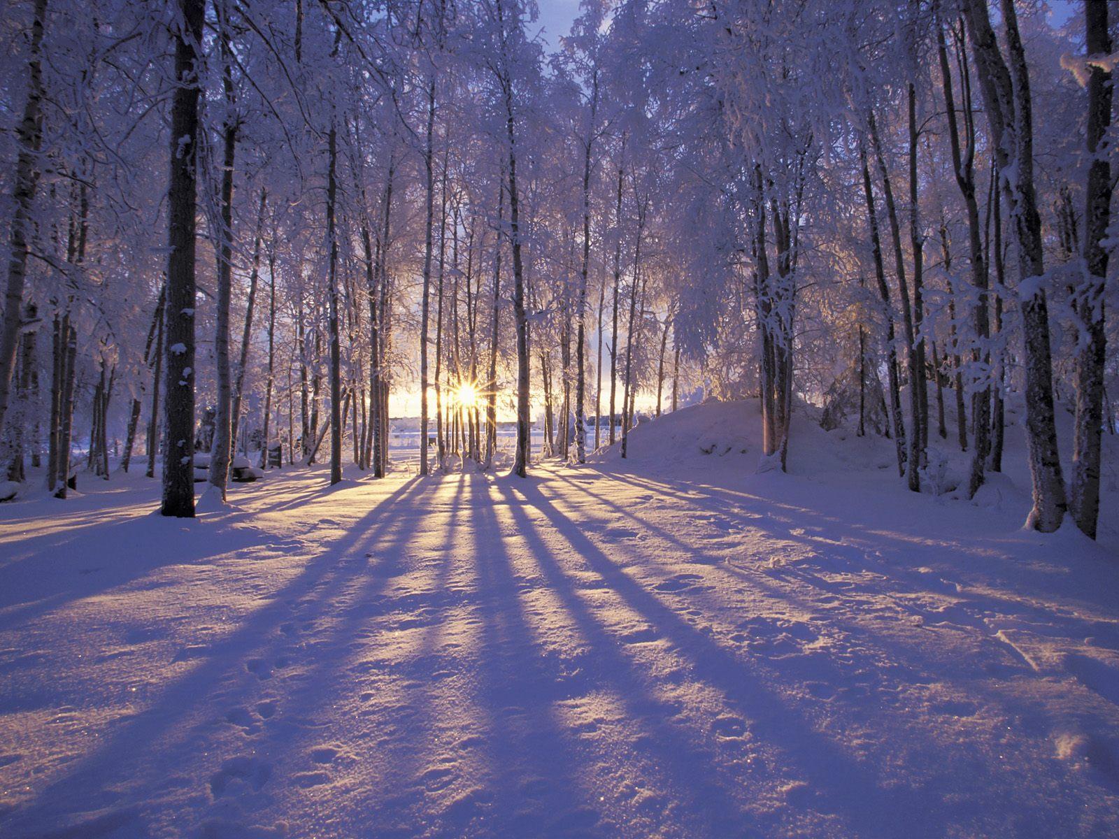 Winter Desktop Walpaper Wallpapers