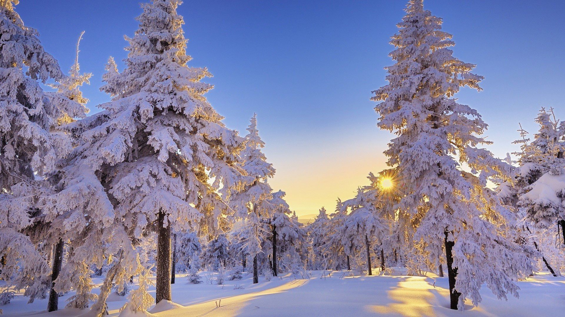 Winter Desktop Walpaper Wallpapers