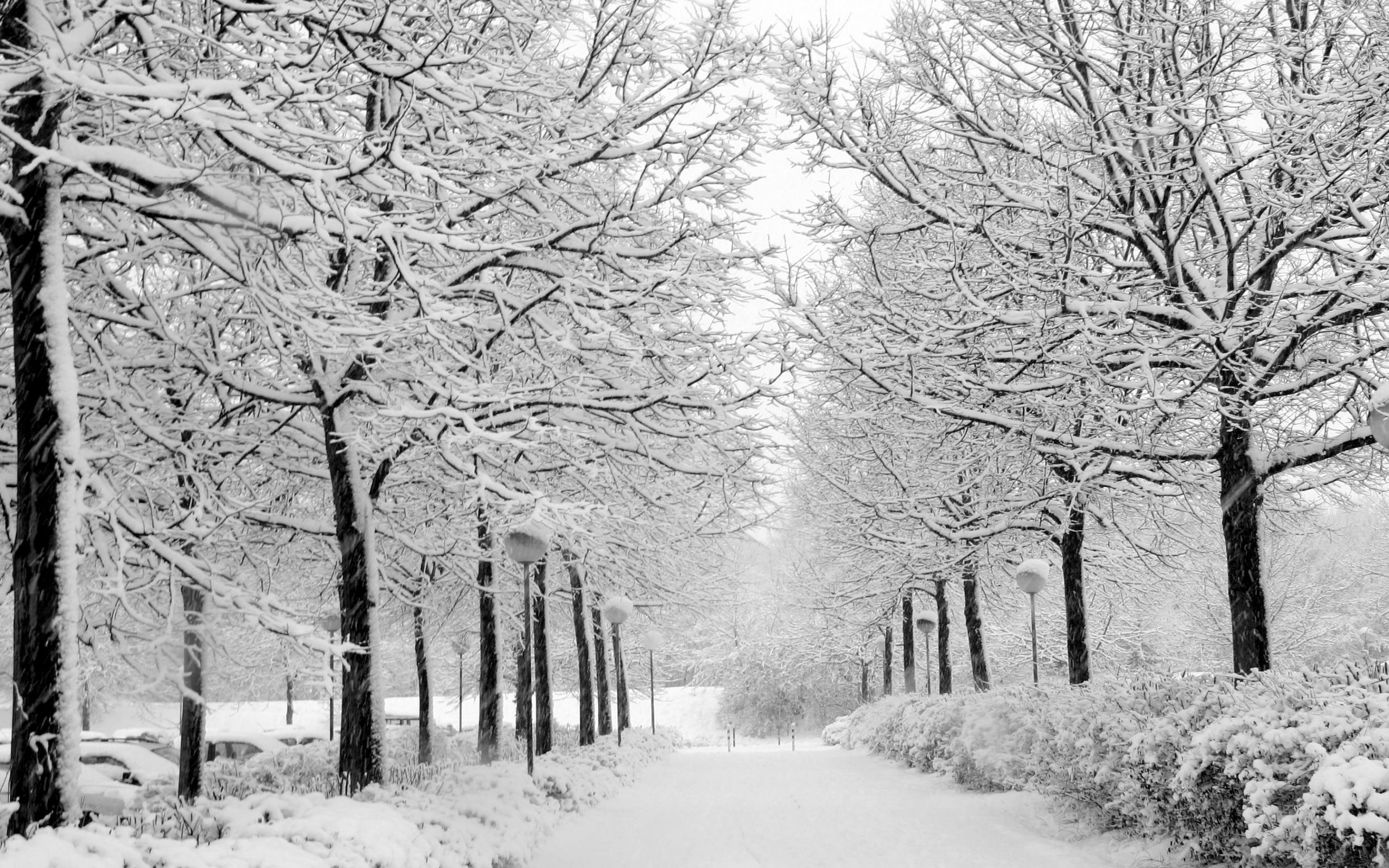 Winter Desktop Walpaper Wallpapers