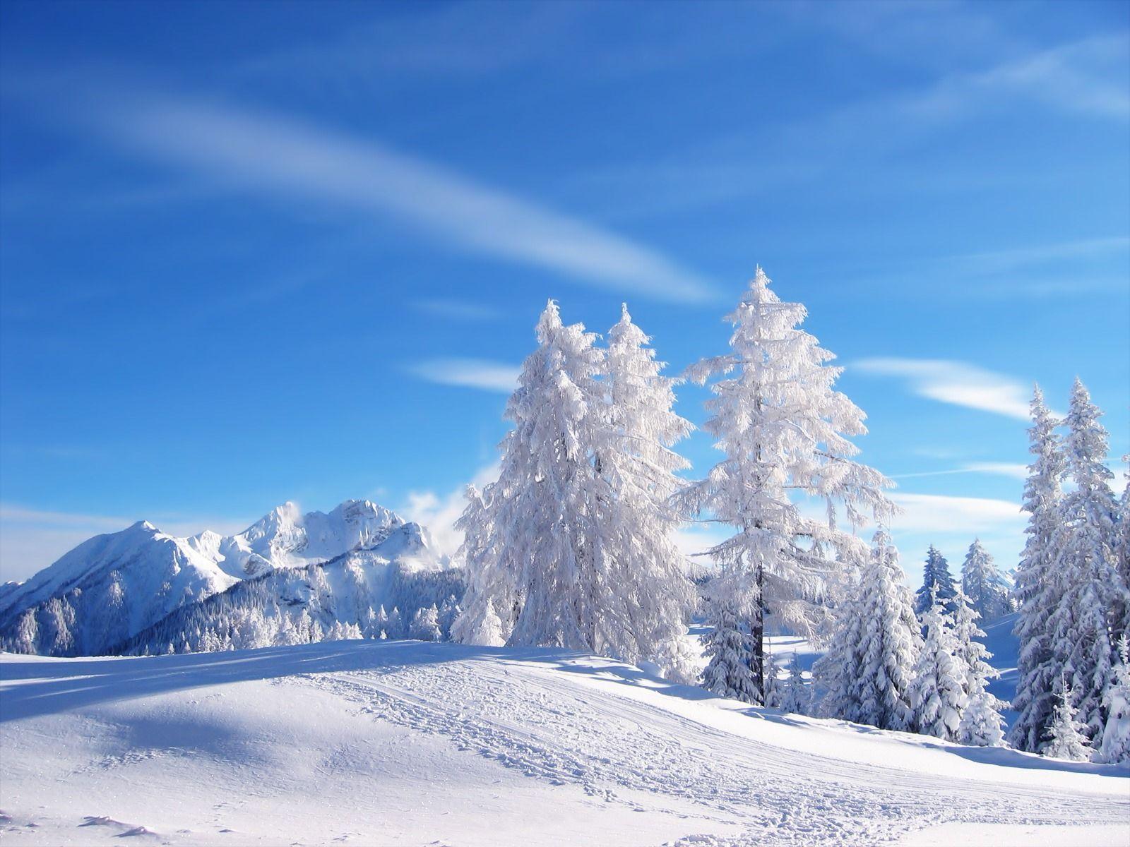 Winter Desktop Walpaper Wallpapers