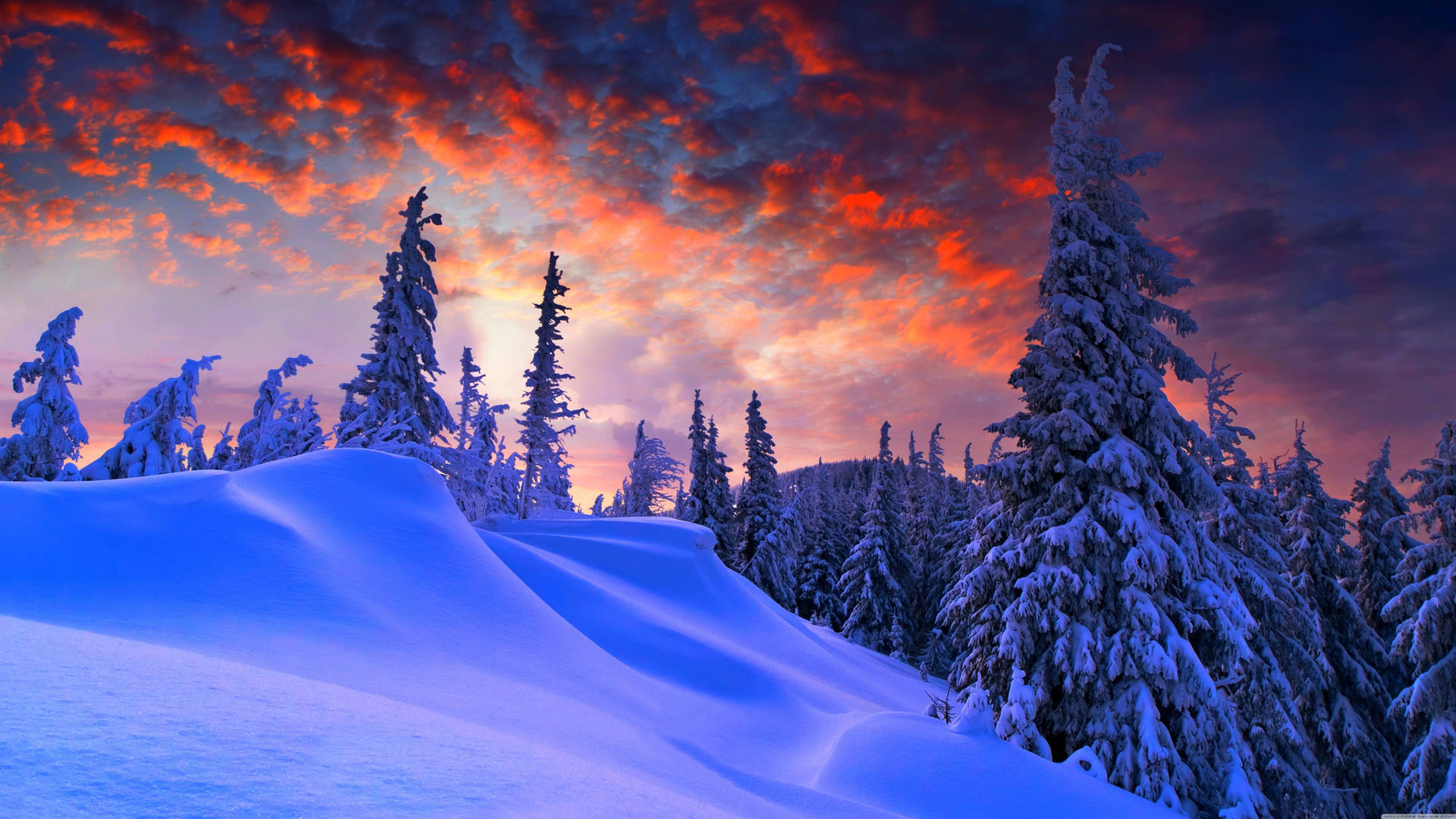 Winter Desktop Walpaper Wallpapers