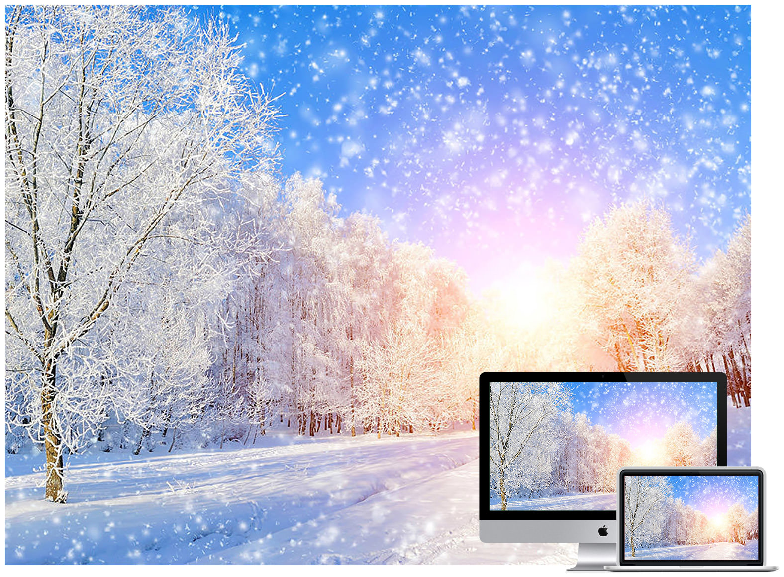 Winter Desktop Walpaper Wallpapers