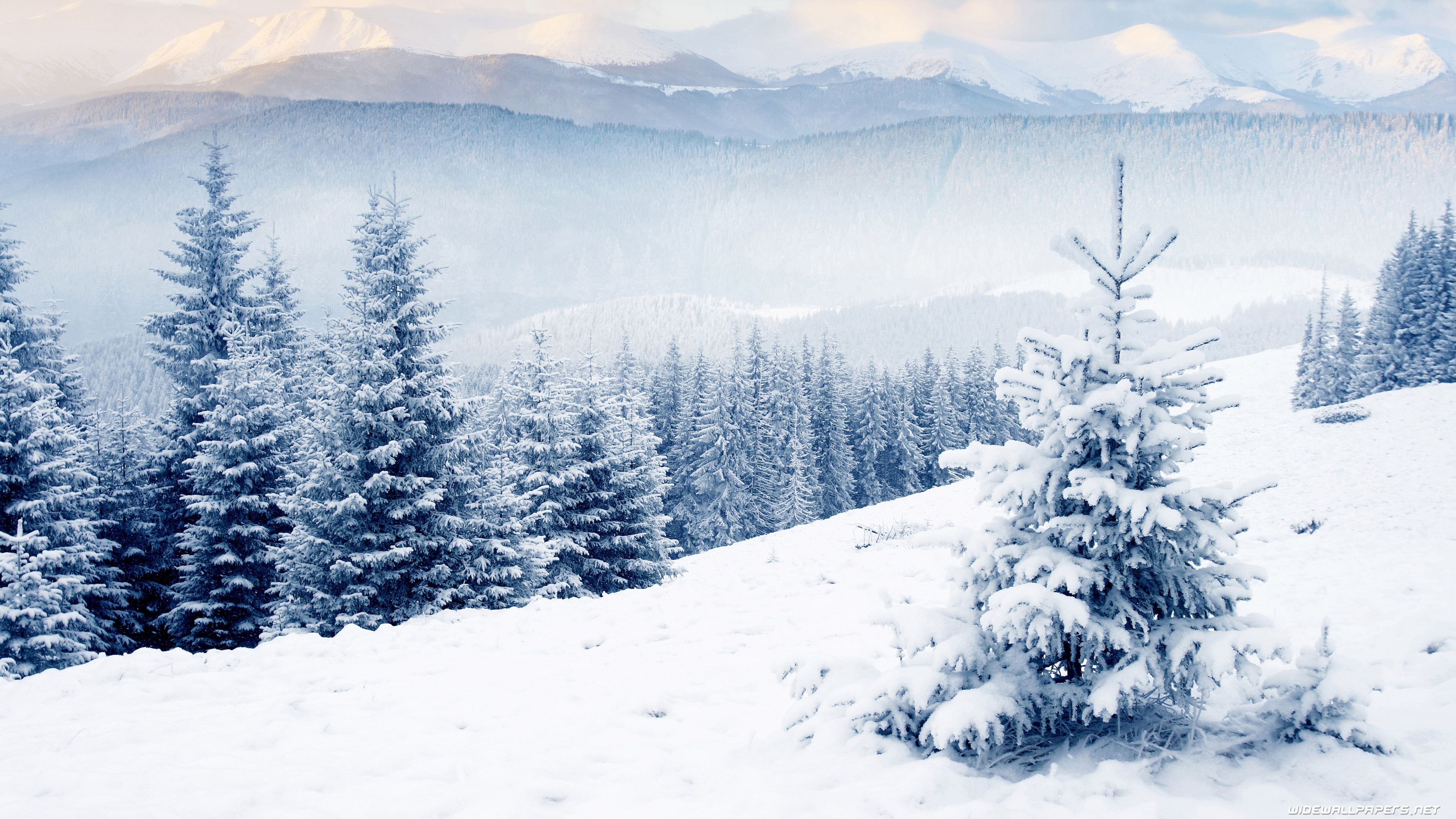 Winter Desktop Walpaper Wallpapers