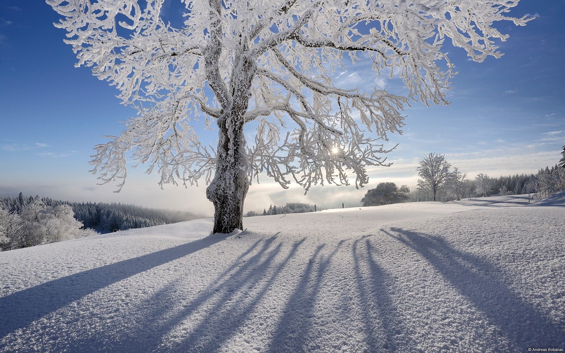 Winter Desktop Walpaper Wallpapers