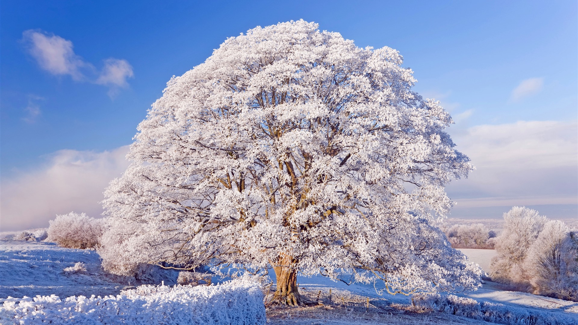 Winter England Wallpapers