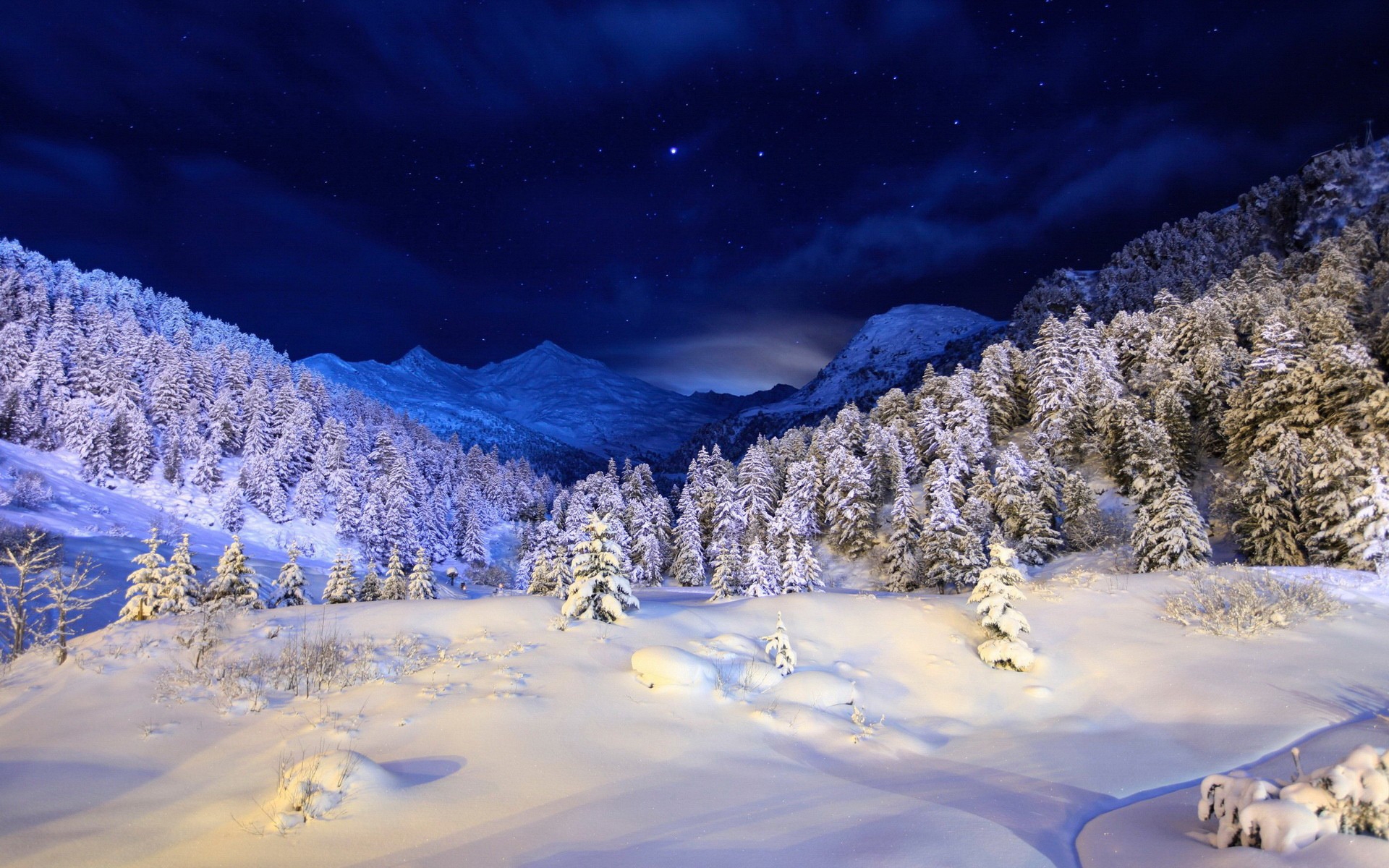 Winter Forest Night Wallpapers