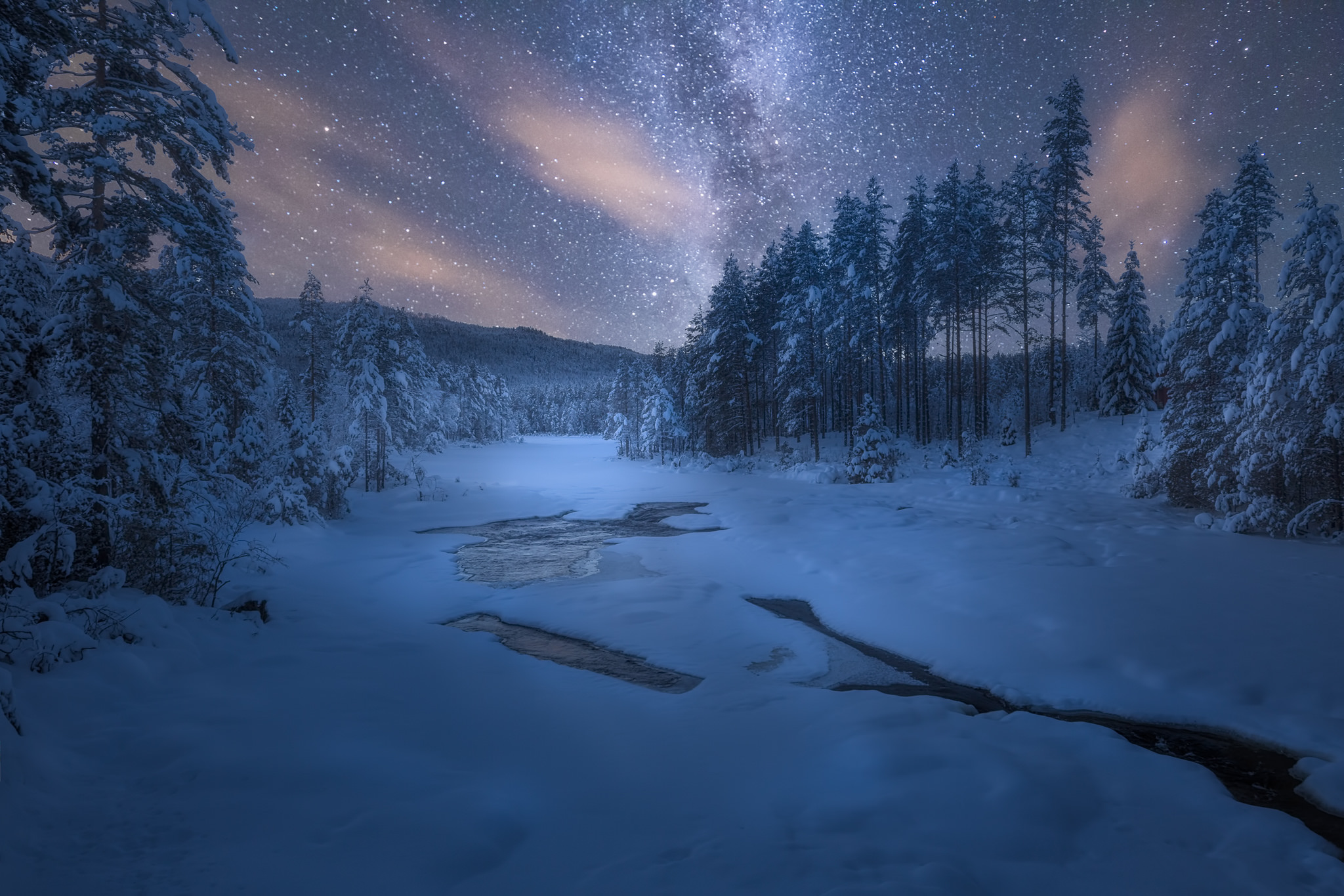 Winter Forest Night Wallpapers