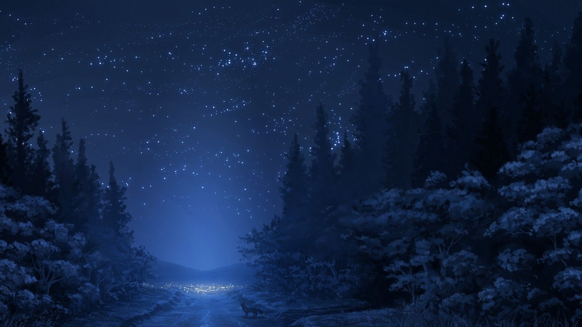 Winter Forest Night Wallpapers