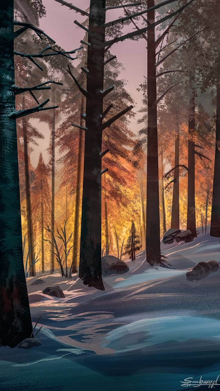 Winter Forest Iphone Wallpapers