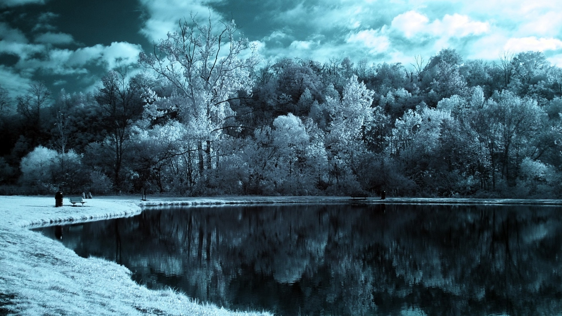 Winter Lake Wallpapers