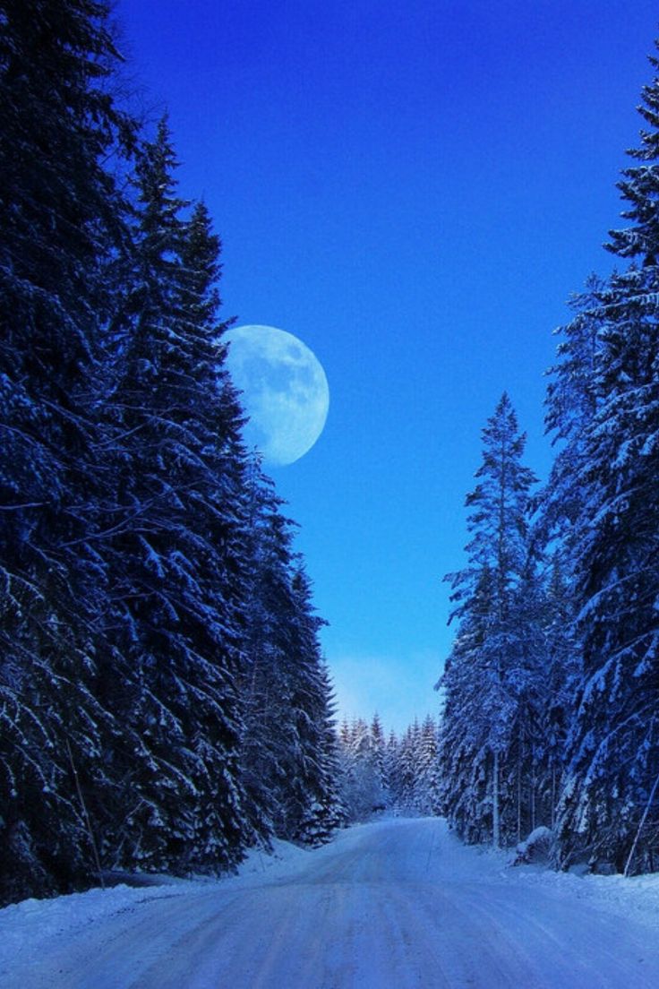 Winter Moon Wallpapers