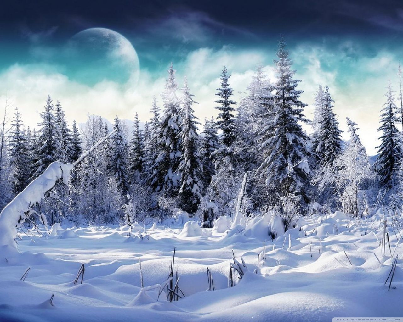 Winter Quotes Facebook Cover Photos Wallpapers