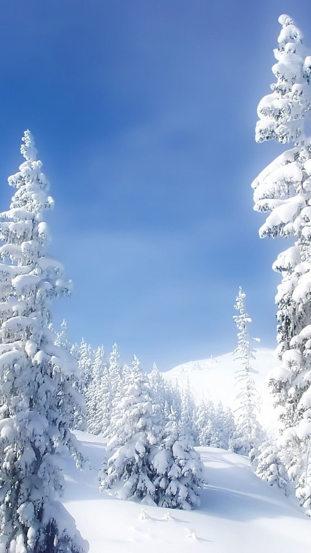 Winter For Android Wallpapers