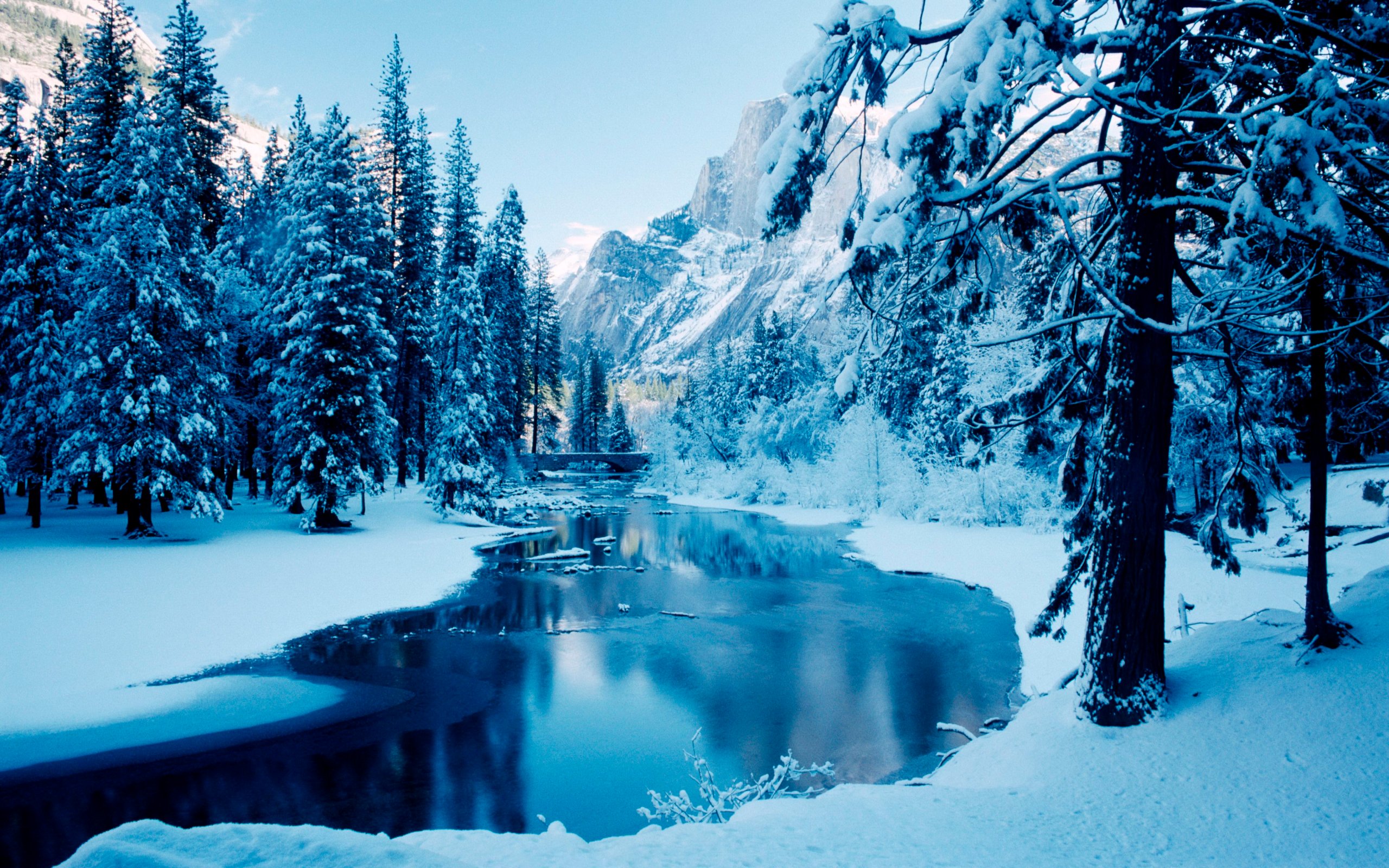 Winter For Android Wallpapers