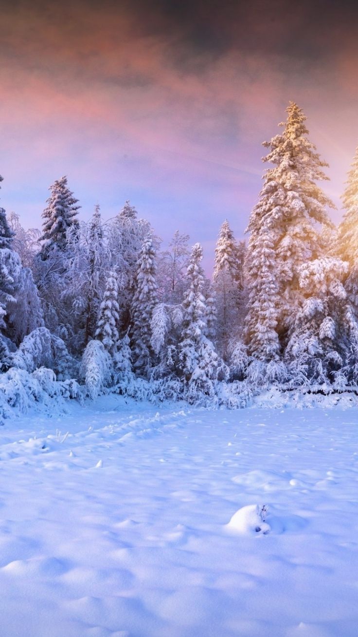 Winter For Android Wallpapers