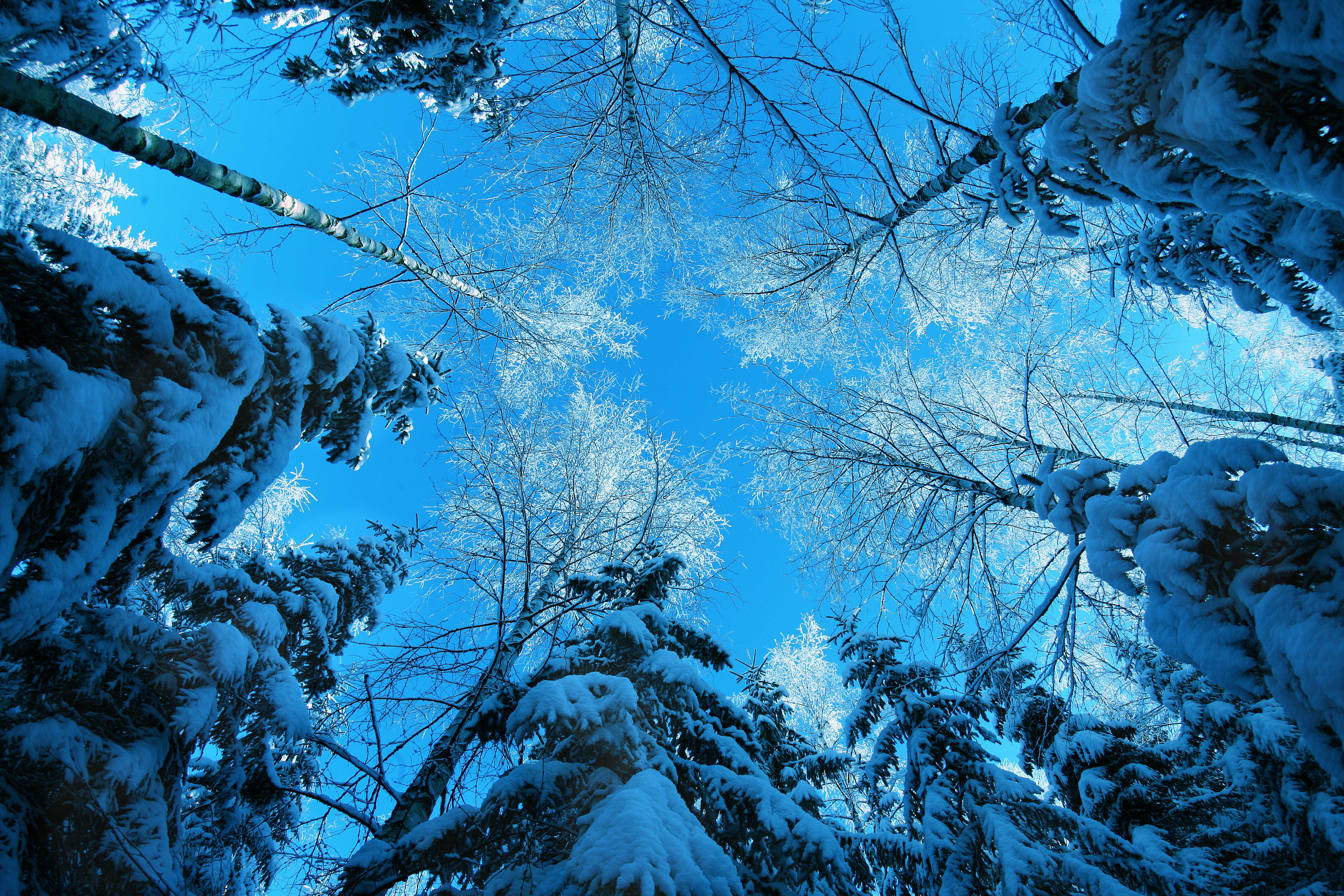 Winter For Android Wallpapers